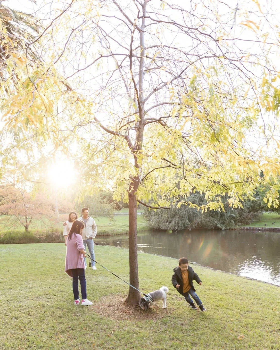 Fun in the Autumn sun with this beautiful family 💛🤎🧡
@cjwong34 
.
.
.
#melbournefamilyphotographer  #melbournechildrensphotographer #melbournechildphotographer #melbournebabyphotographer #melbournebabyphotography #melbournelifestylephotographer #n