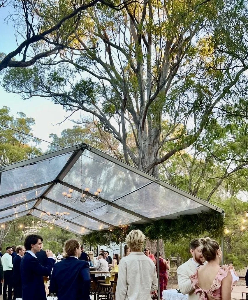 de9c7ec7-56e0-429c-9ab8-4dd92ae2b589 2.JPG