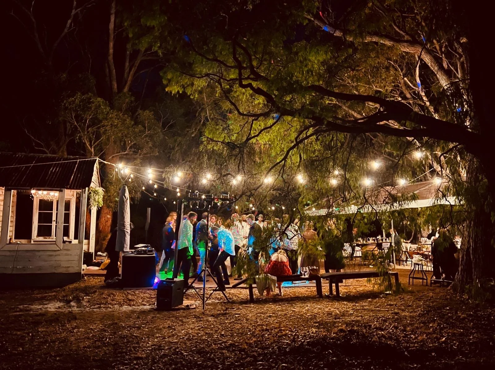 e19060ba-55fa-47ea-8a27-b0bd4c3bb752 2.JPG