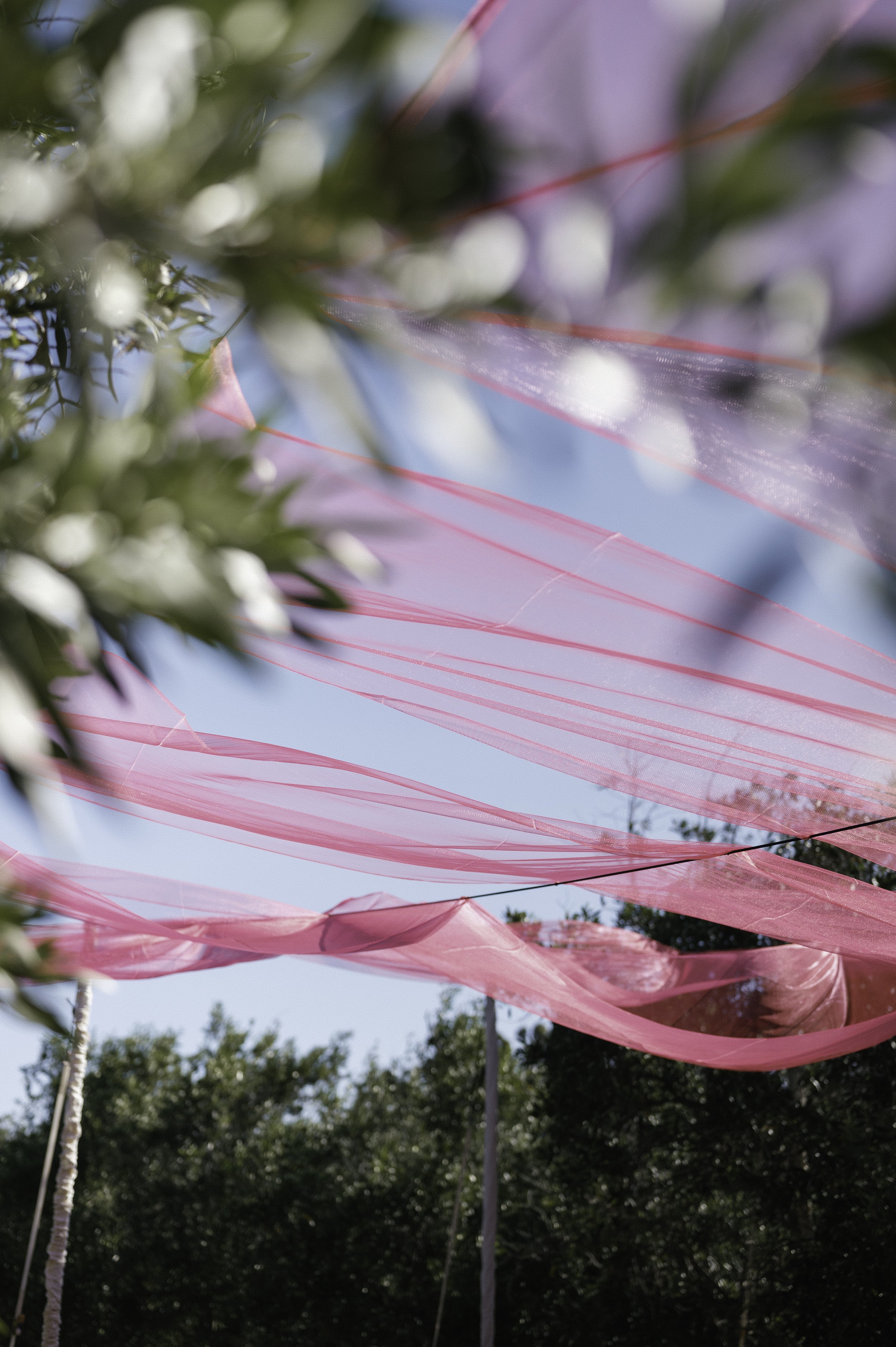 MEENAL&SARAN_WEDDING_MARGARETRIVER_OLIOBELLO_JILLIANMCHUGHPHOTOGRAPHY_2025_1090.jpg
