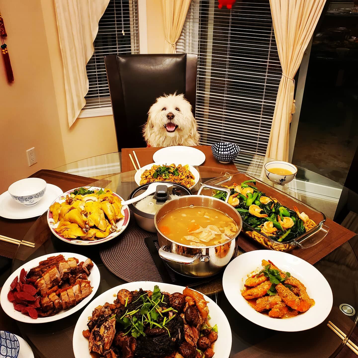 Happy Lunar New Year everyone!

#cny #cny2021 #feast #新年快樂 #lunarnewyear #tet #tết #allforme #foodporn #foodstagram #feedme #mealforone #lhasaapsosofinstagram #lhasaapsoworld #lhasaapso #puppylove #puppiesofinstagram #dogstagram #dogsofinstagram #dog