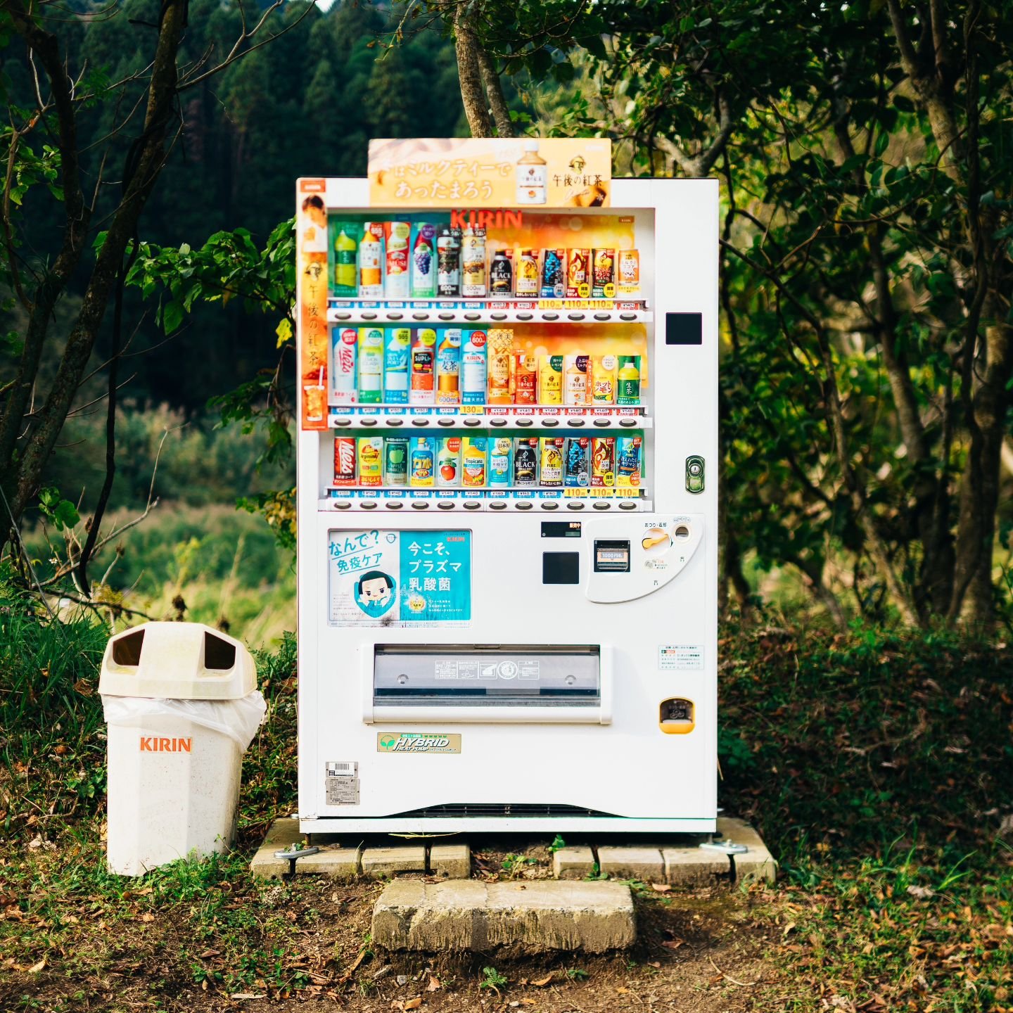 You know how some people go to Europe and collect pictures of old and interesting doors? I did the same thing but with Vending Machines.

Vending machines are everywhere in Japan - literally everywhere. Sometimes even in the middle of nowhere! Litera