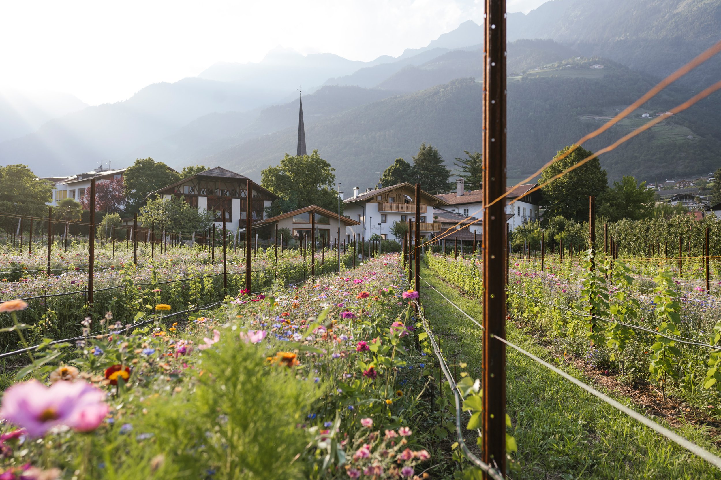 Kapellgut_TV Algund-Armin Terzer (24)_1.jpg