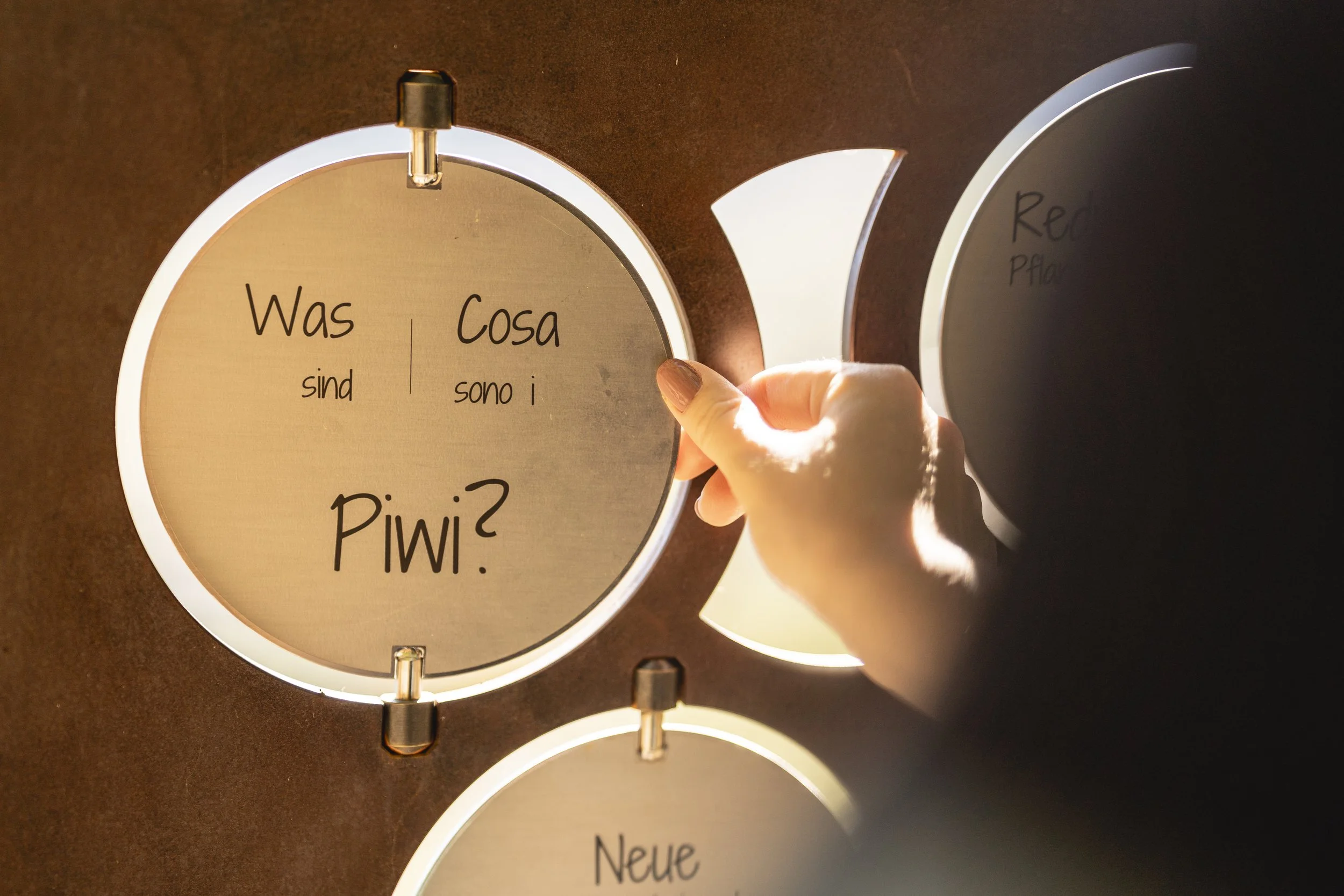 (C) Hannes Niederkofler_HQ-07711 Algunder Waalweg PIWI Herbst.jpg