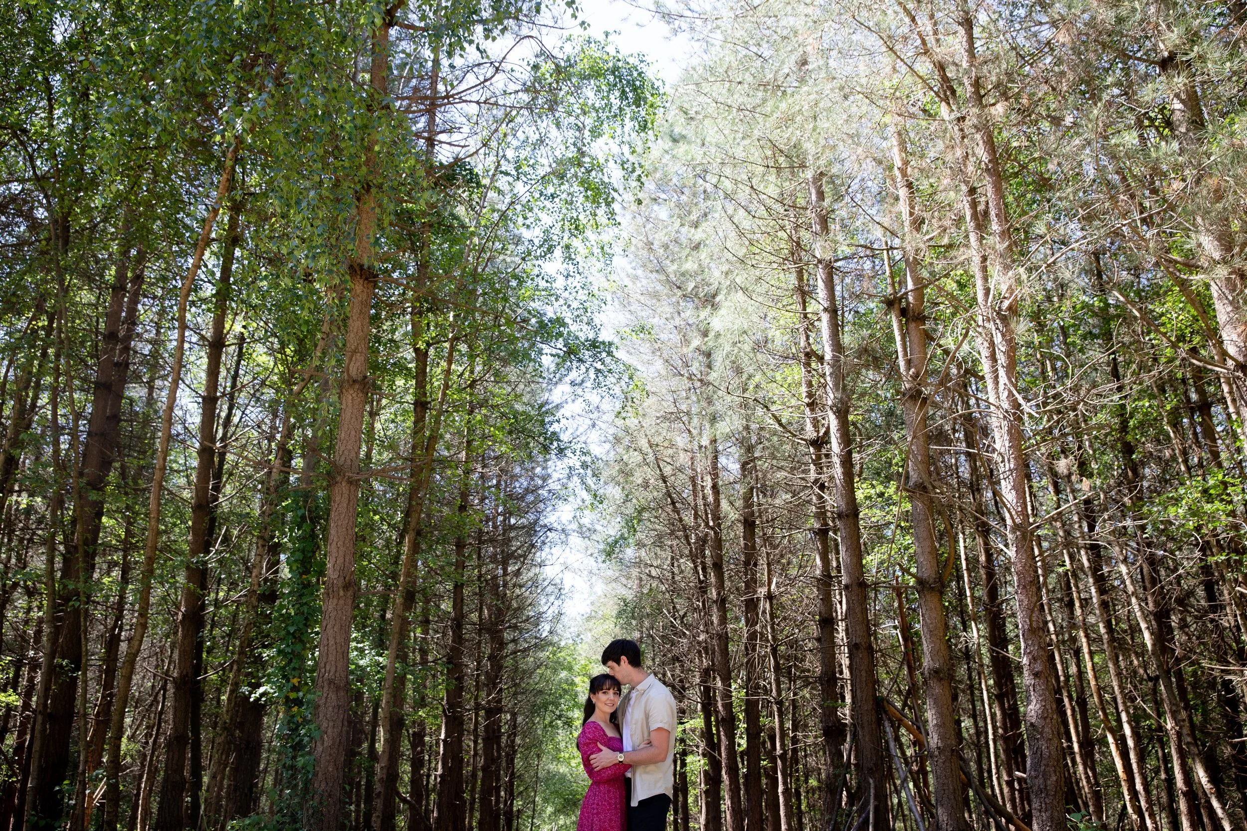 A couple embracing in a forest, surrounded by tall trees with green leaves, under a clear sky.