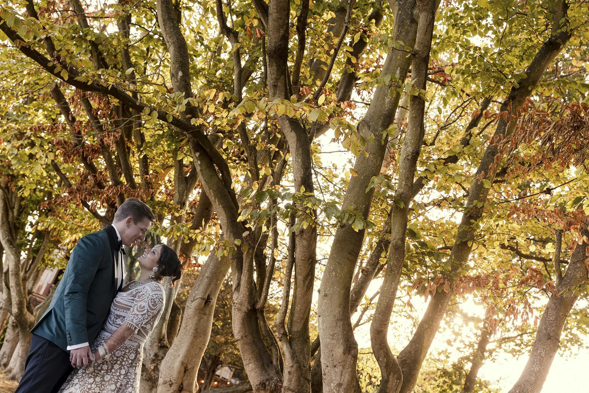 A couple in formal attire holding hands and gazing at each other under trees with autumn leaves, sunlight shining through.