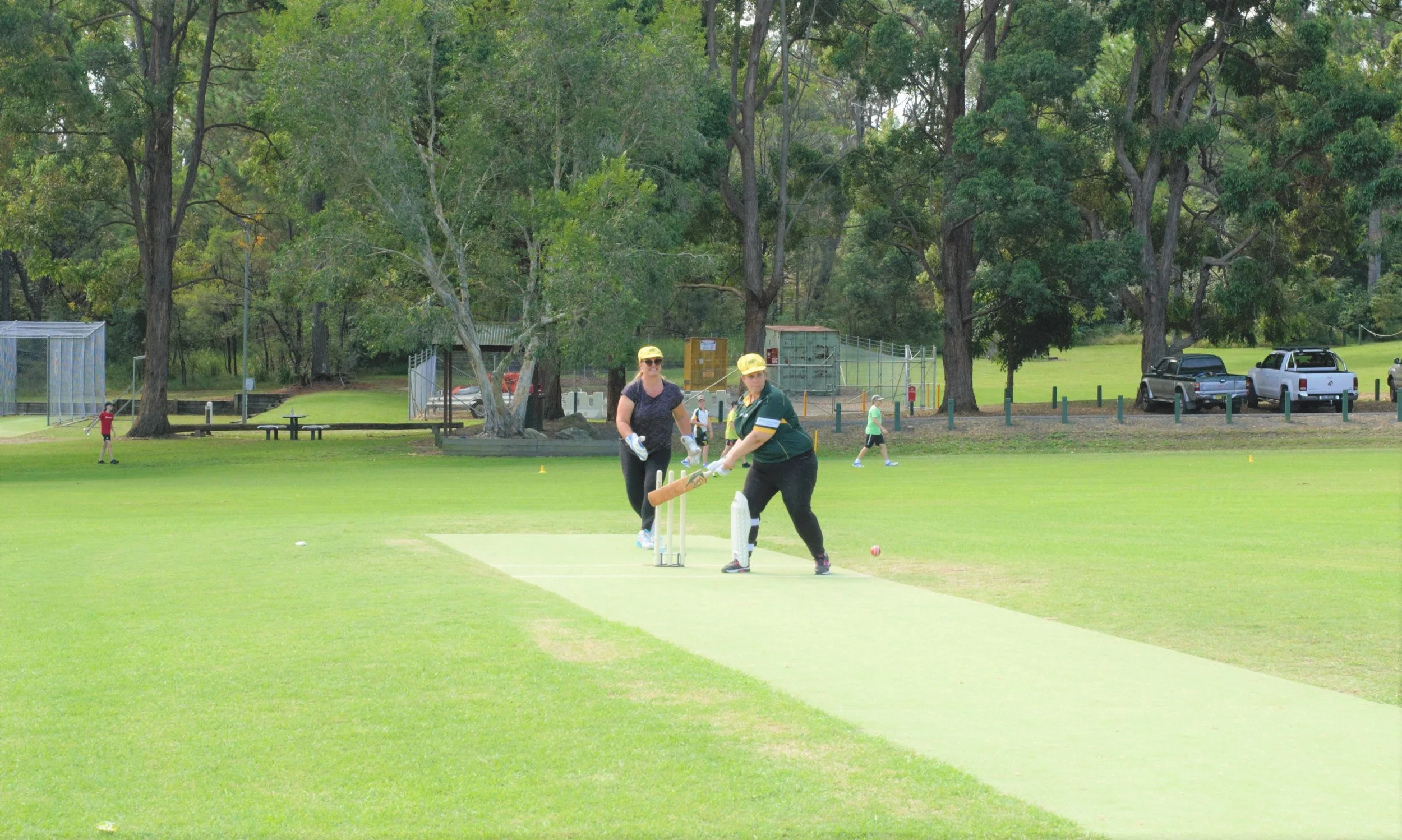 Cricket 14.jpg