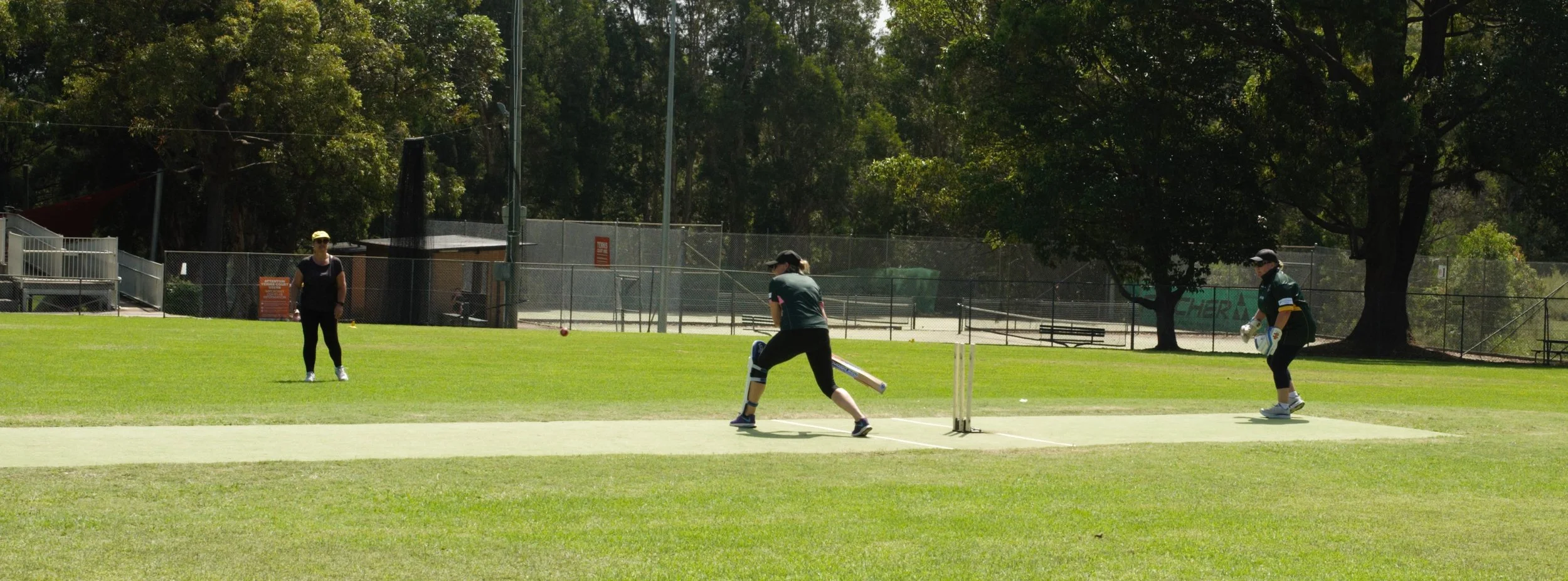 Cricket 3.jpg