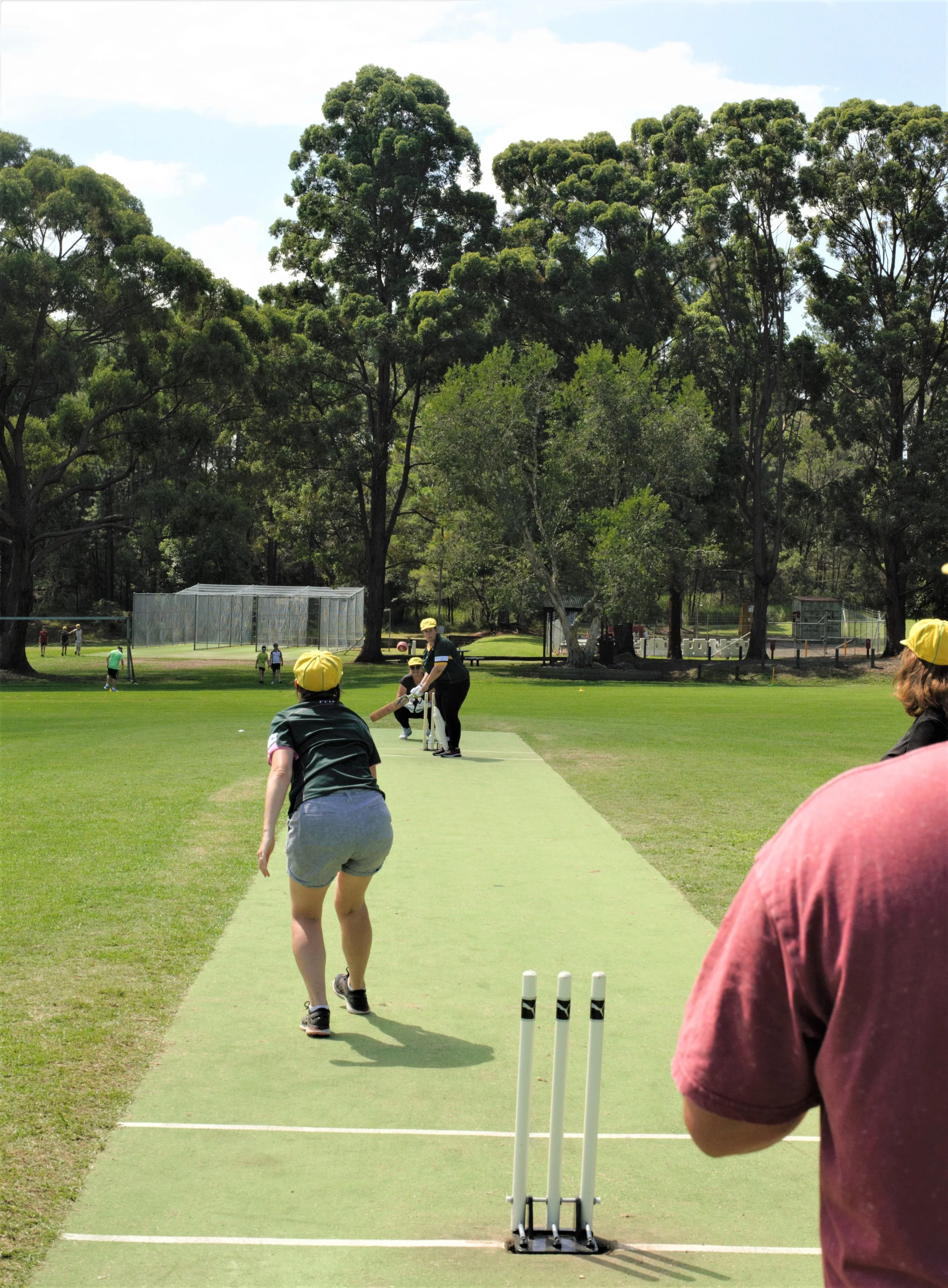 Cricket 13.jpg