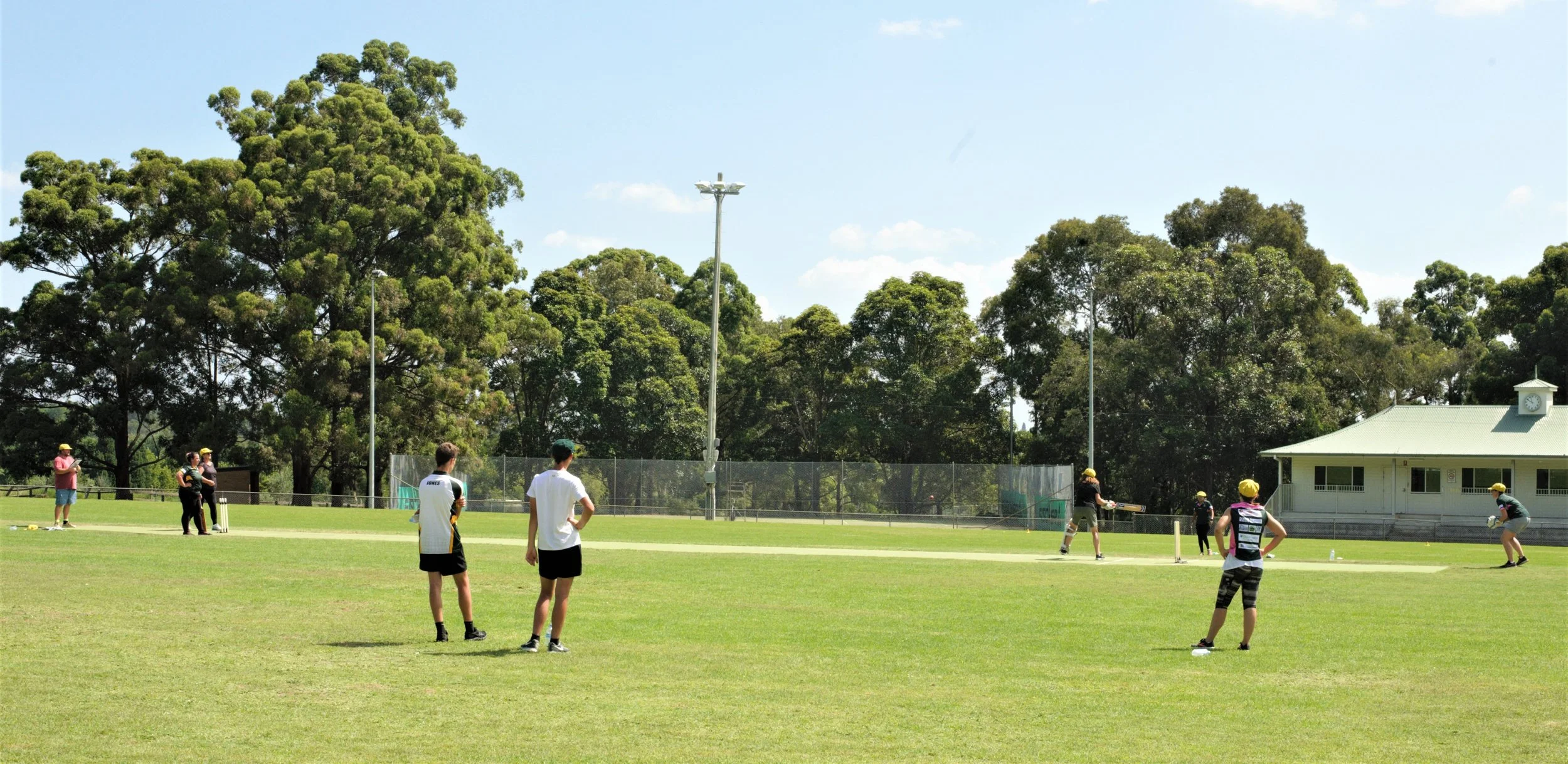 Cricket 10.jpg