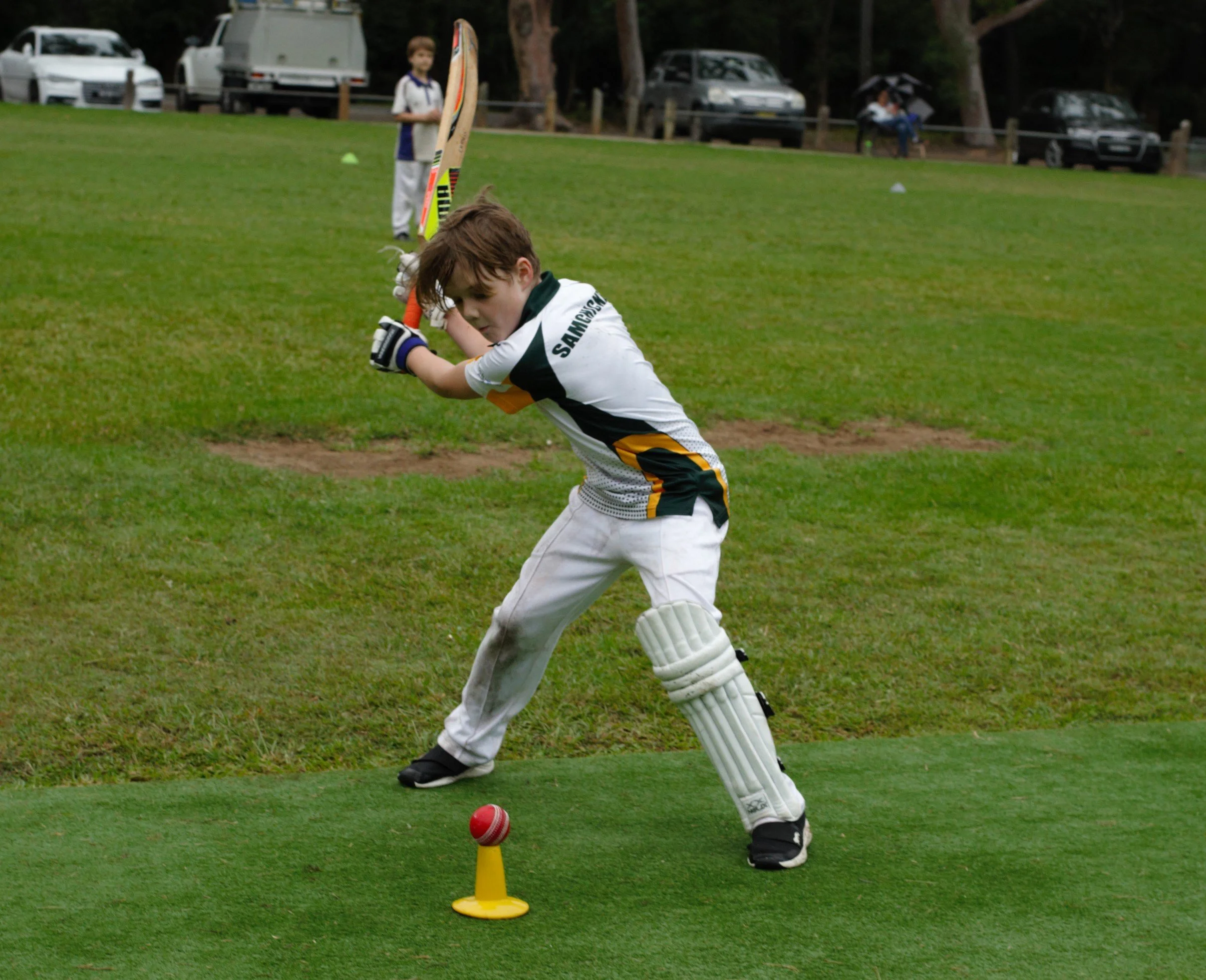 Sam Chicken Hitting .jpg