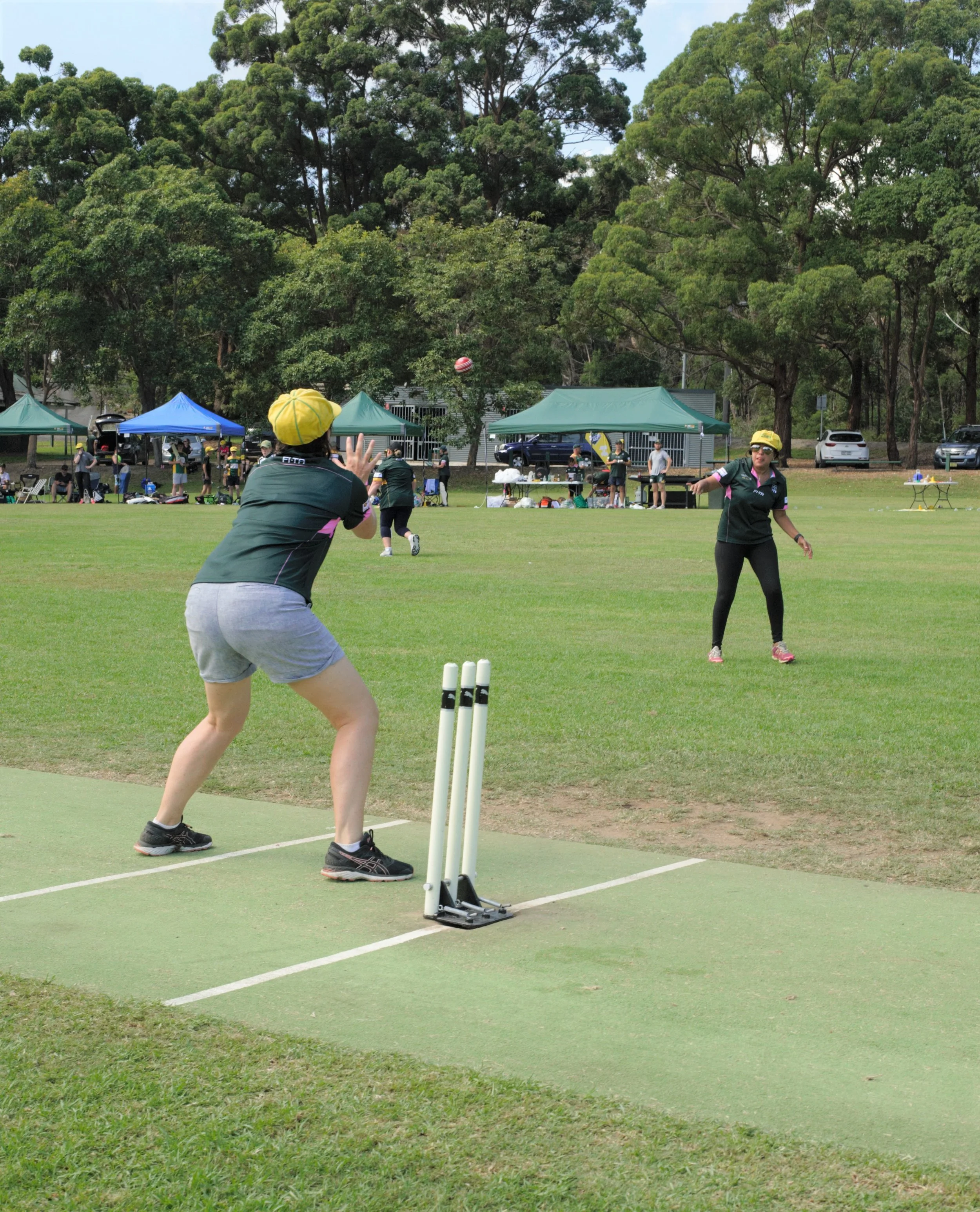 Cricket 16.jpg