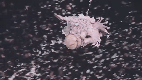 Upcoming Yorkshire Festival Set for Fantastic Hull Finale.