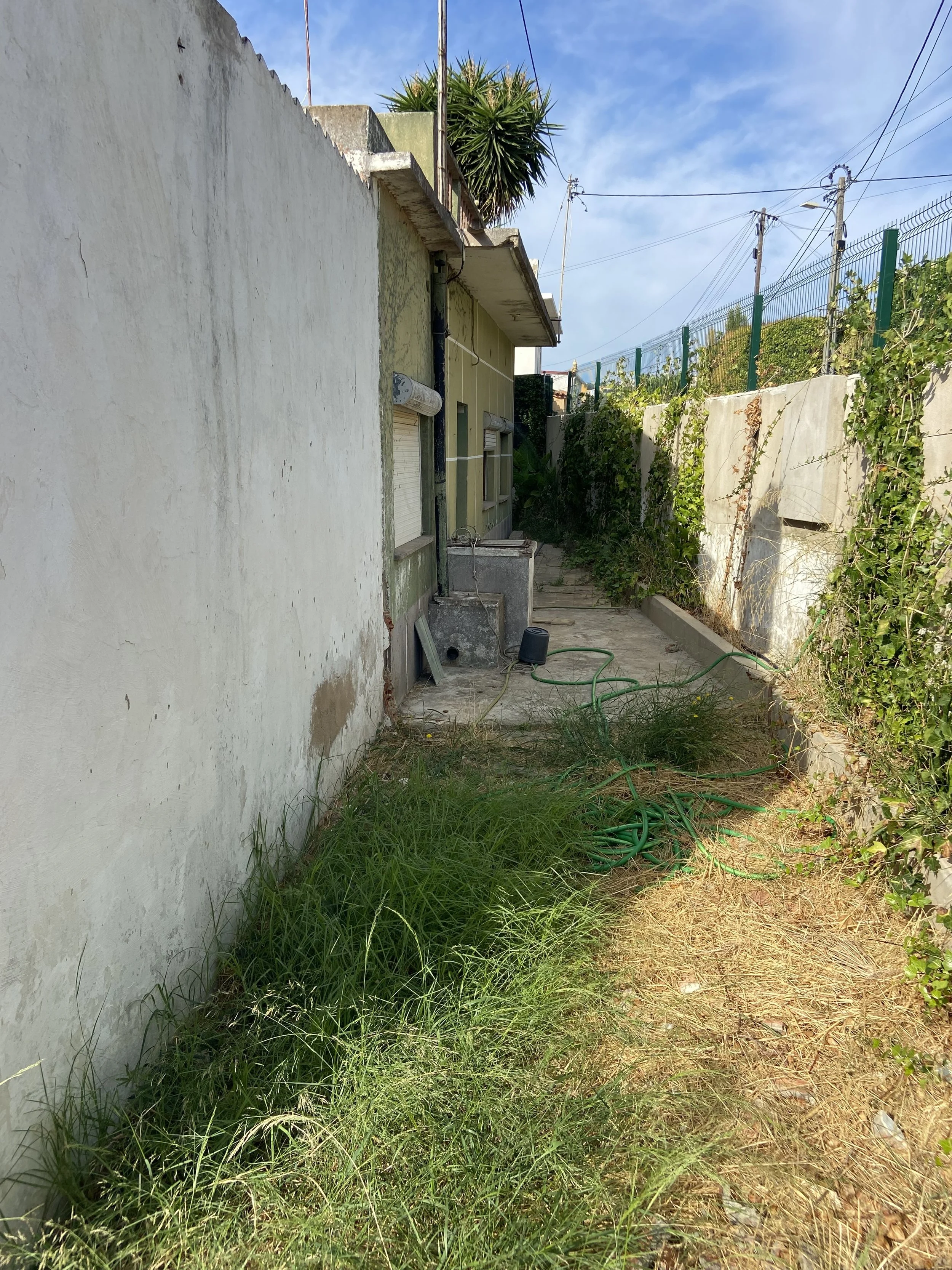 Selva10.jpg