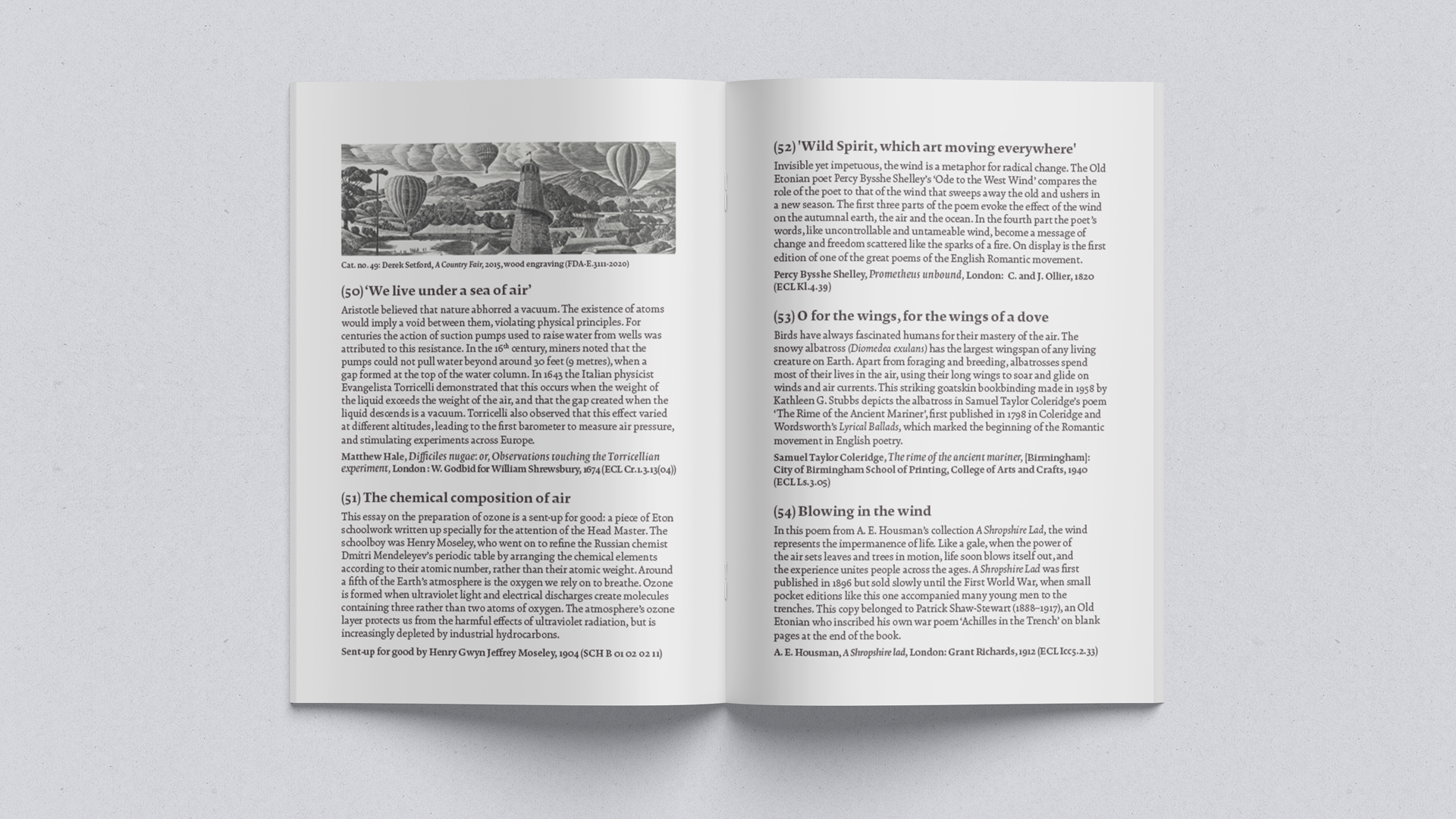 Anlou_Website_Portfolio8.png