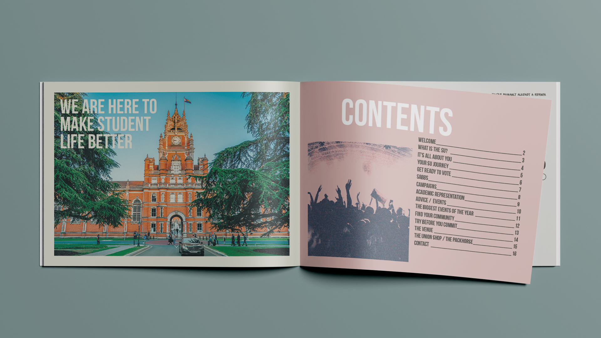 Anlou_Website_Portfolio2.png