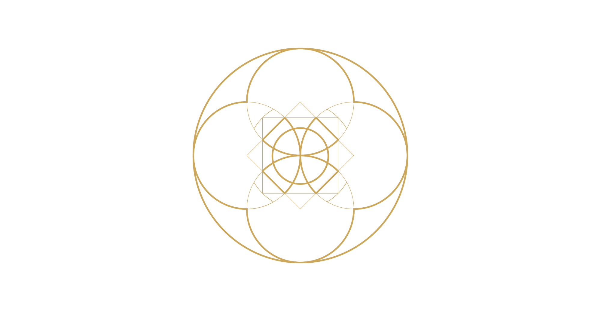 Protection Rings-Modular.png