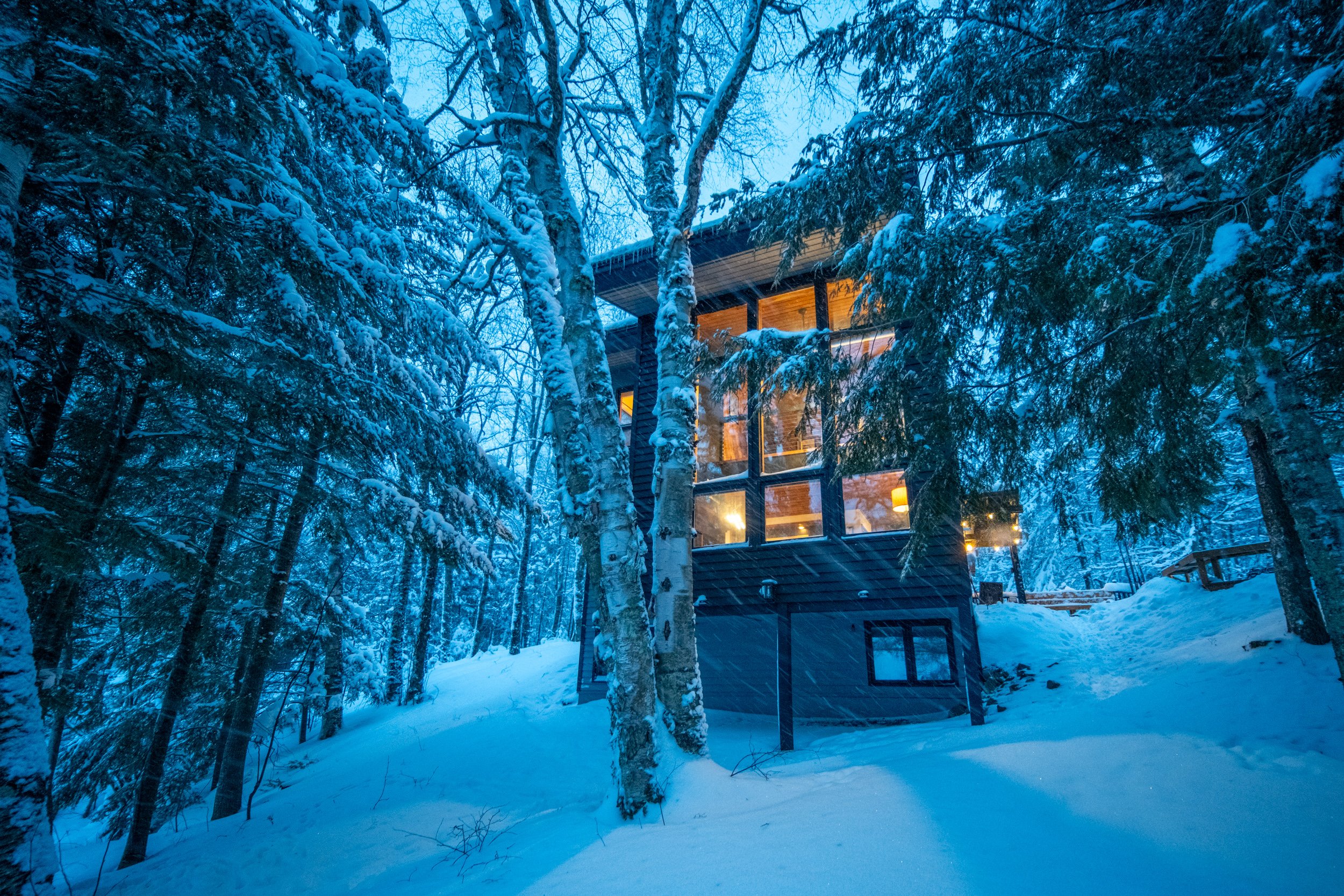 A snowy forest scene at dusk with a modern house visible through the trees, lights glowing from the windows, and snow-covered trees surrounding the area.
