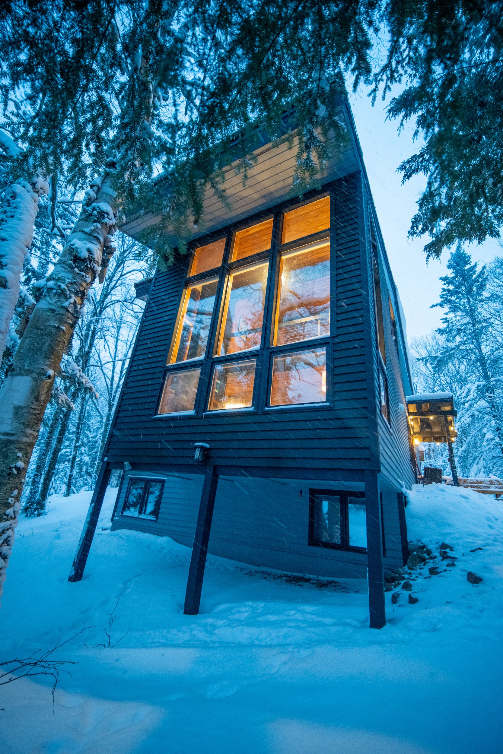 A modern, narrow house with large windows, illuminated from inside, surrounded by snow and tall trees in a winter landscape.