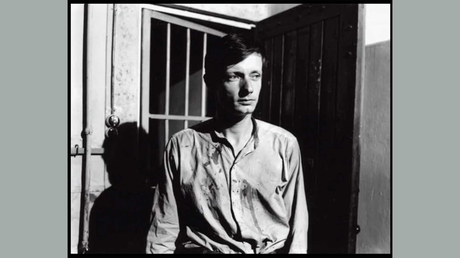 FILM-3.jpg