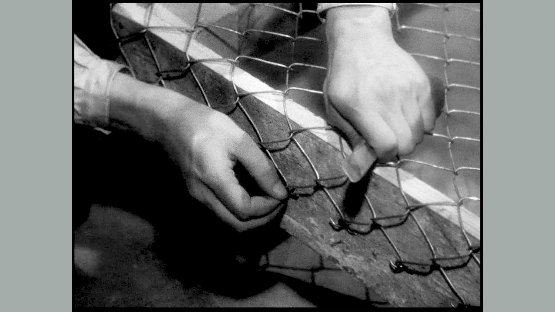FILM-8.jpg
