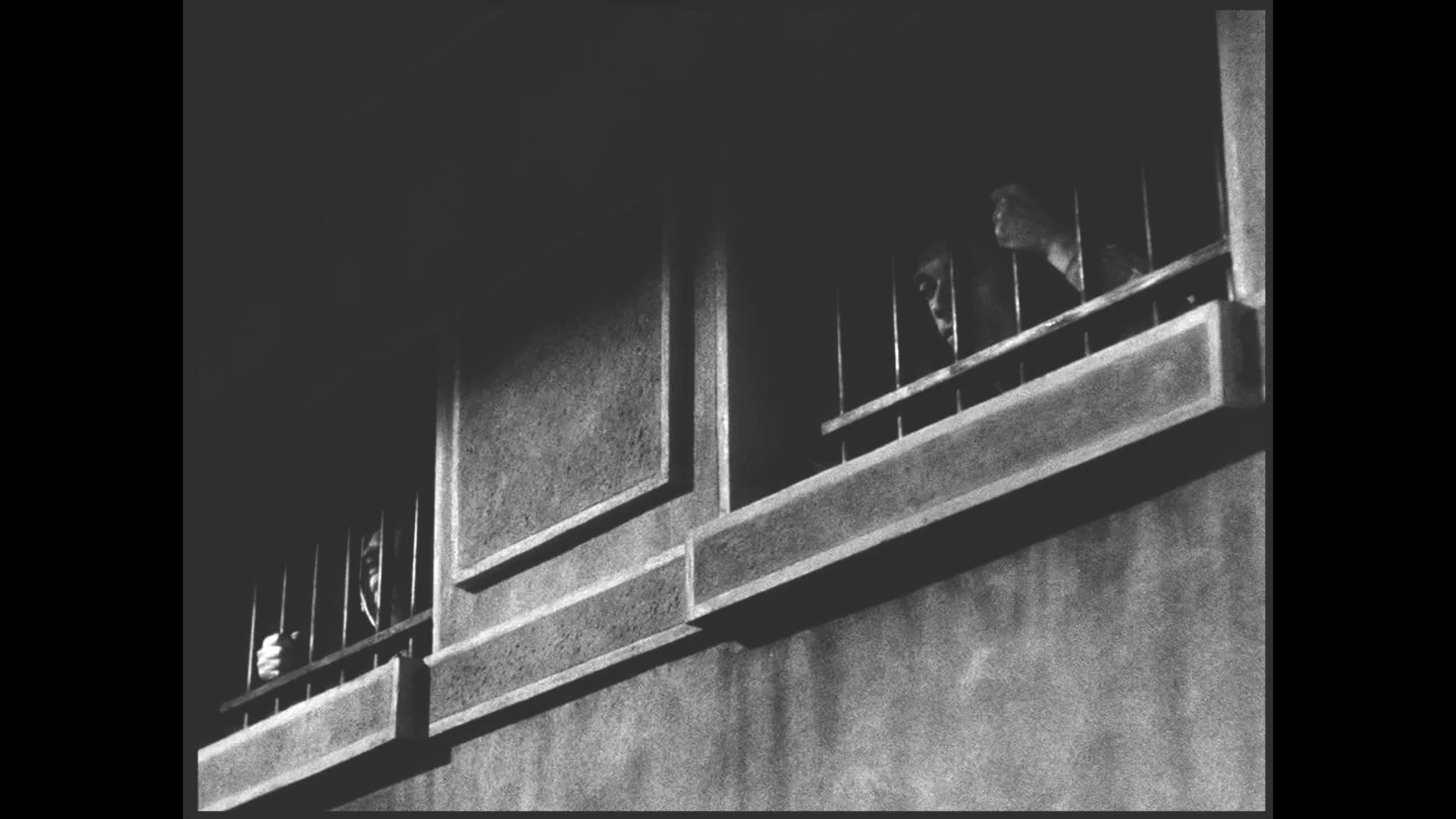 FILM-11.jpg