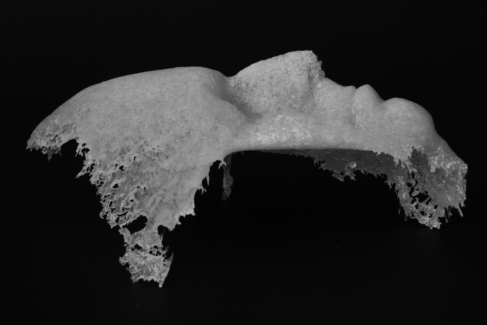 Haase_Rotting Away 3.1 smaller.jpg