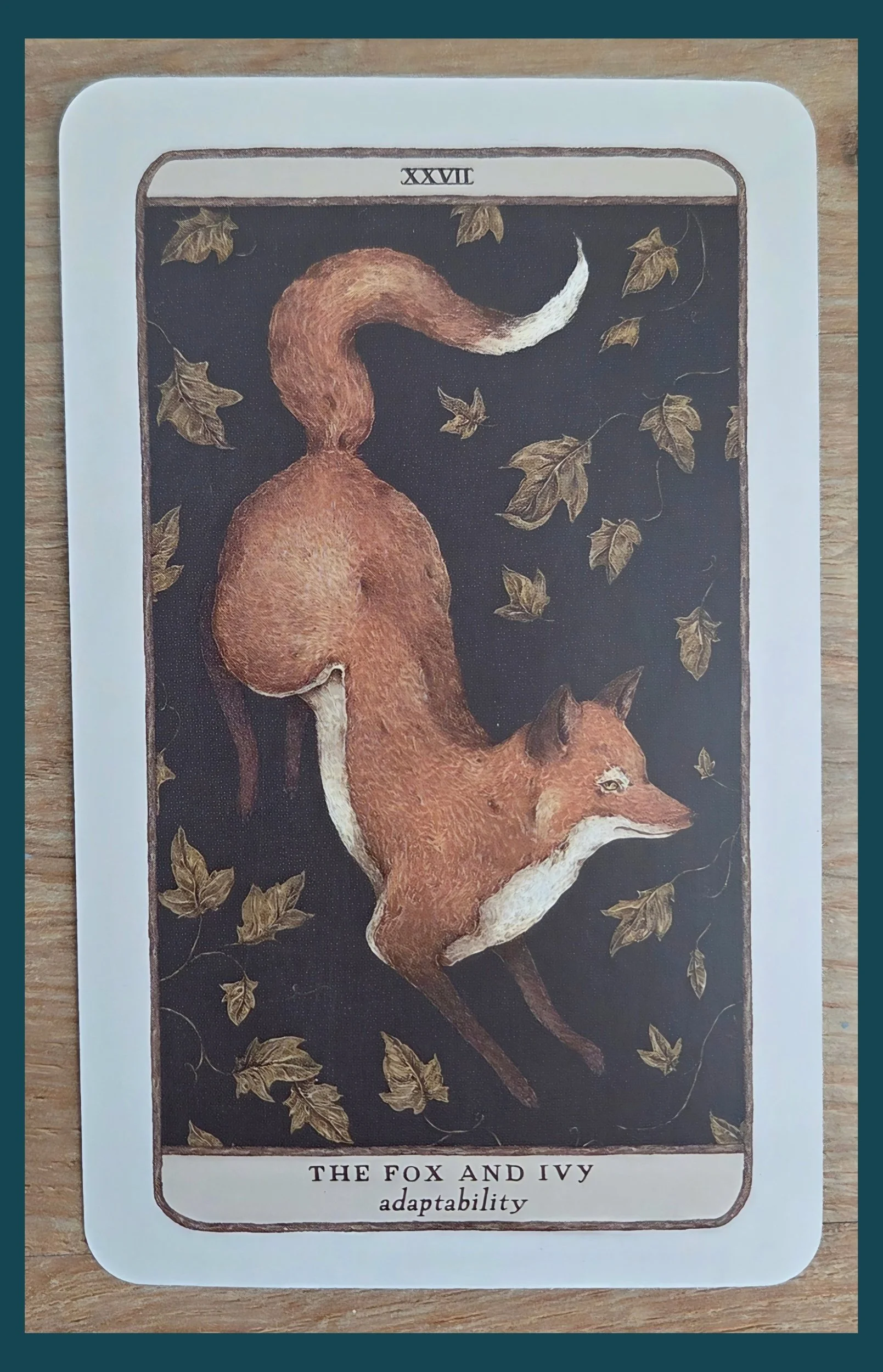 Fox and Ivy
