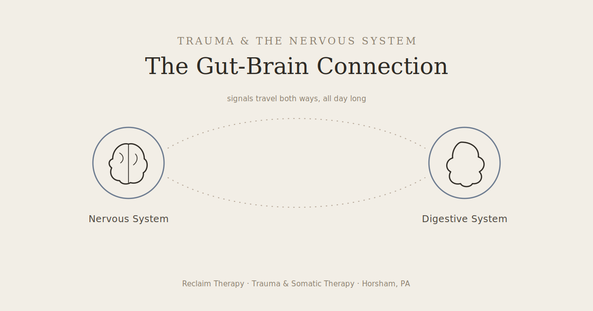 Illustration of the gut-brain connection showing how the nervous system and digestive system communicate.