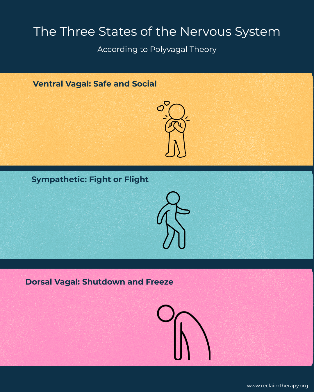 llustration of the three states of the nervous system according to polyvagal theory showing ventral vagal sympathetic and dorsal vagal responses