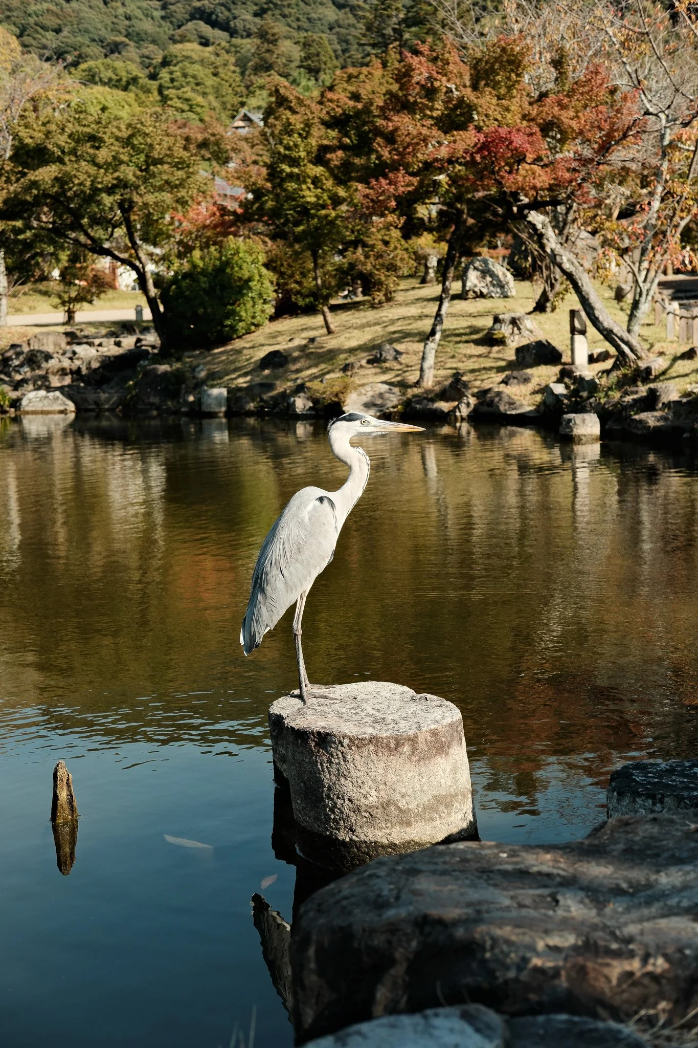 DSCF3967.jpg