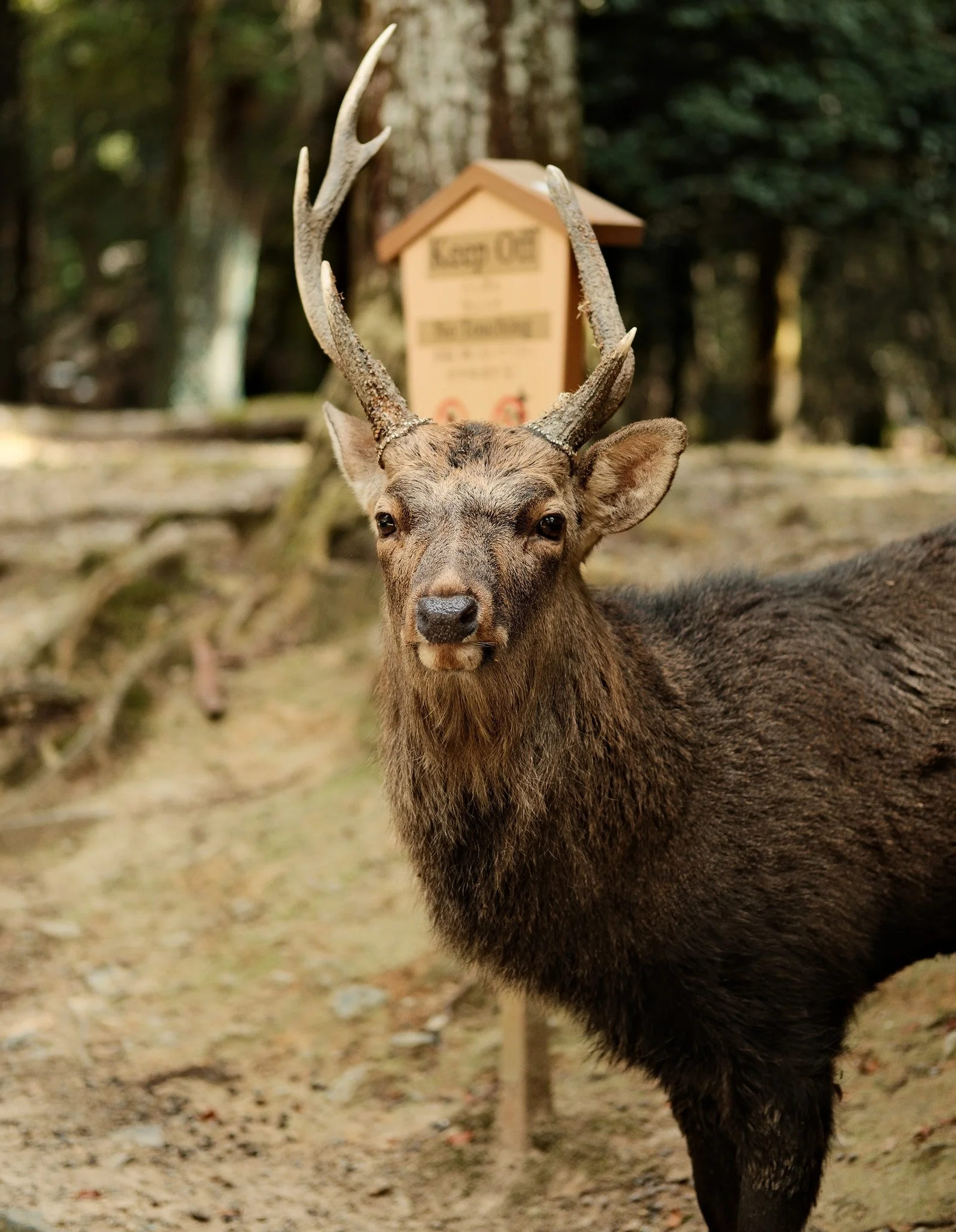 DSCF4376.jpg