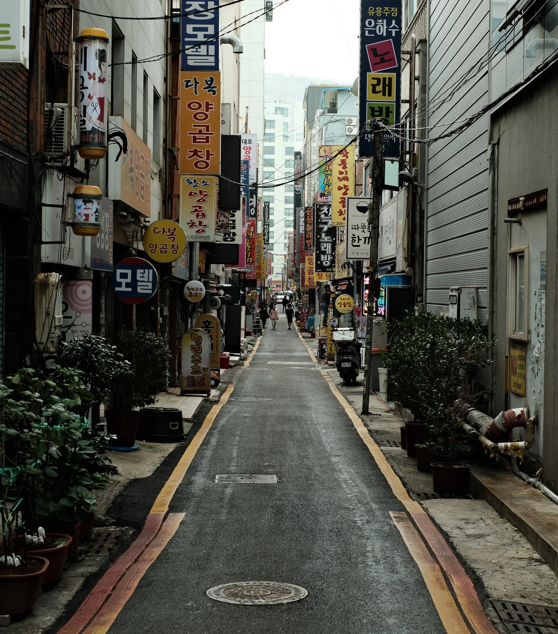 DSCF6877.jpg