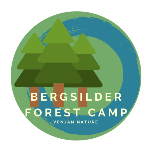 Bergsilder Forest Camp