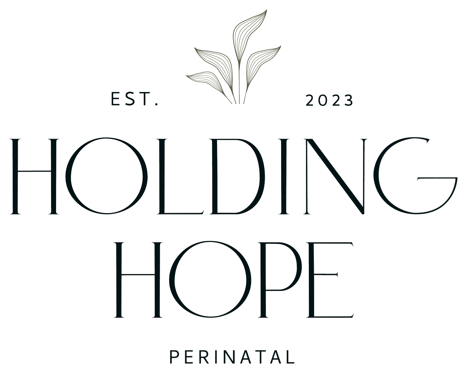Holding Hope Perinatal