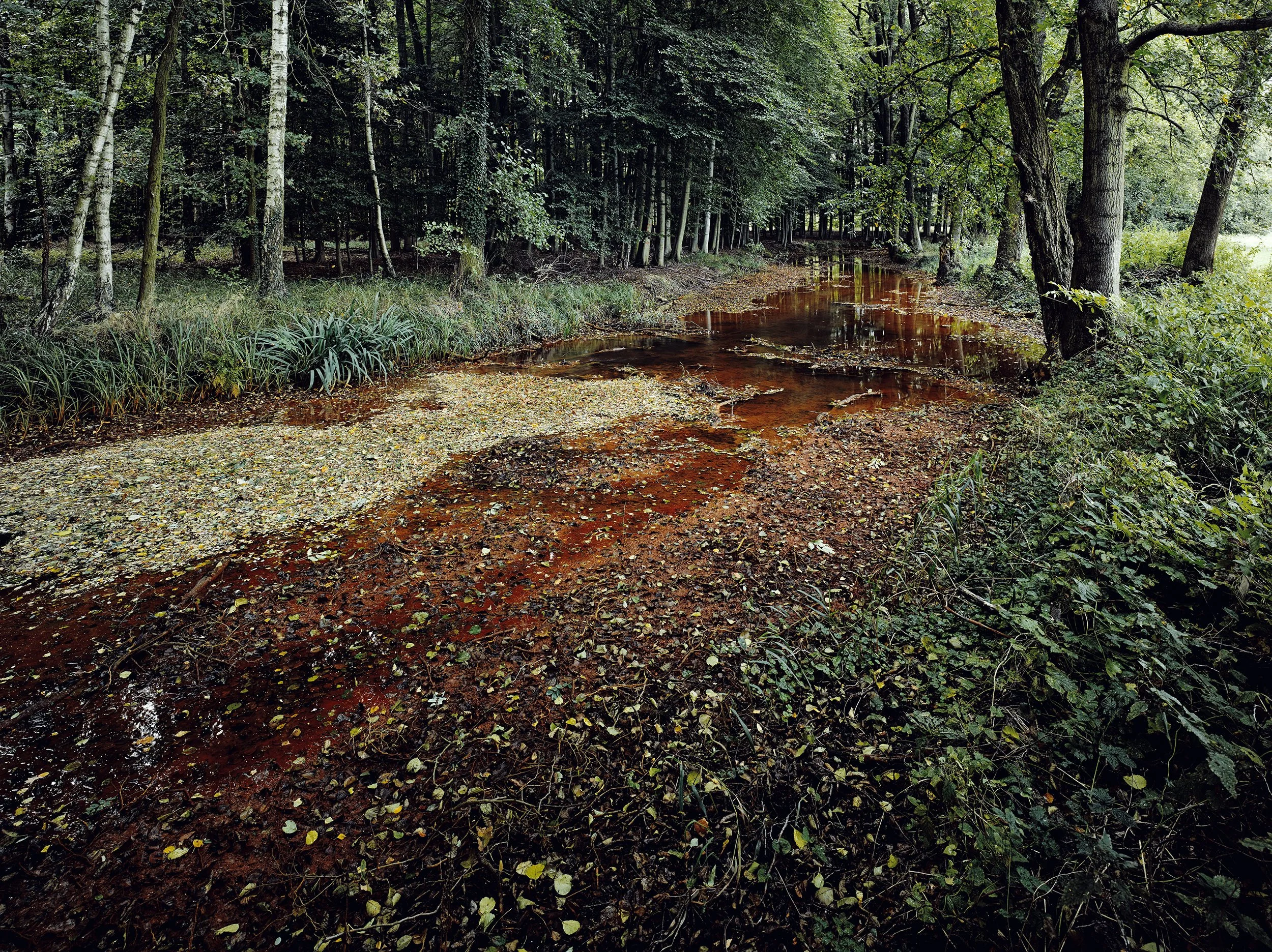 susanne-wegner-tagebau-_016.jpg