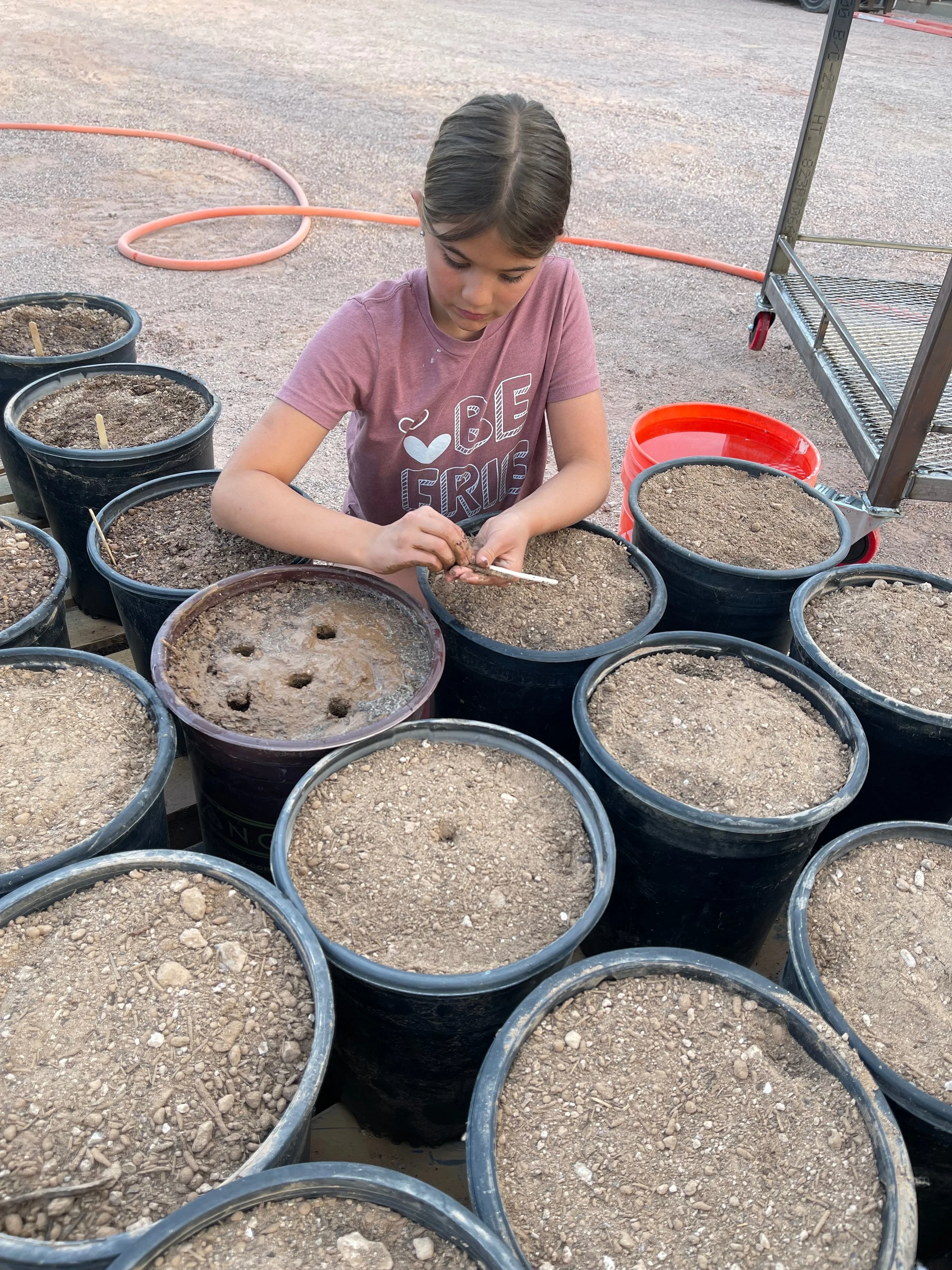 A young girl planting seedlings in large black pots filled with dirt, outdoors.