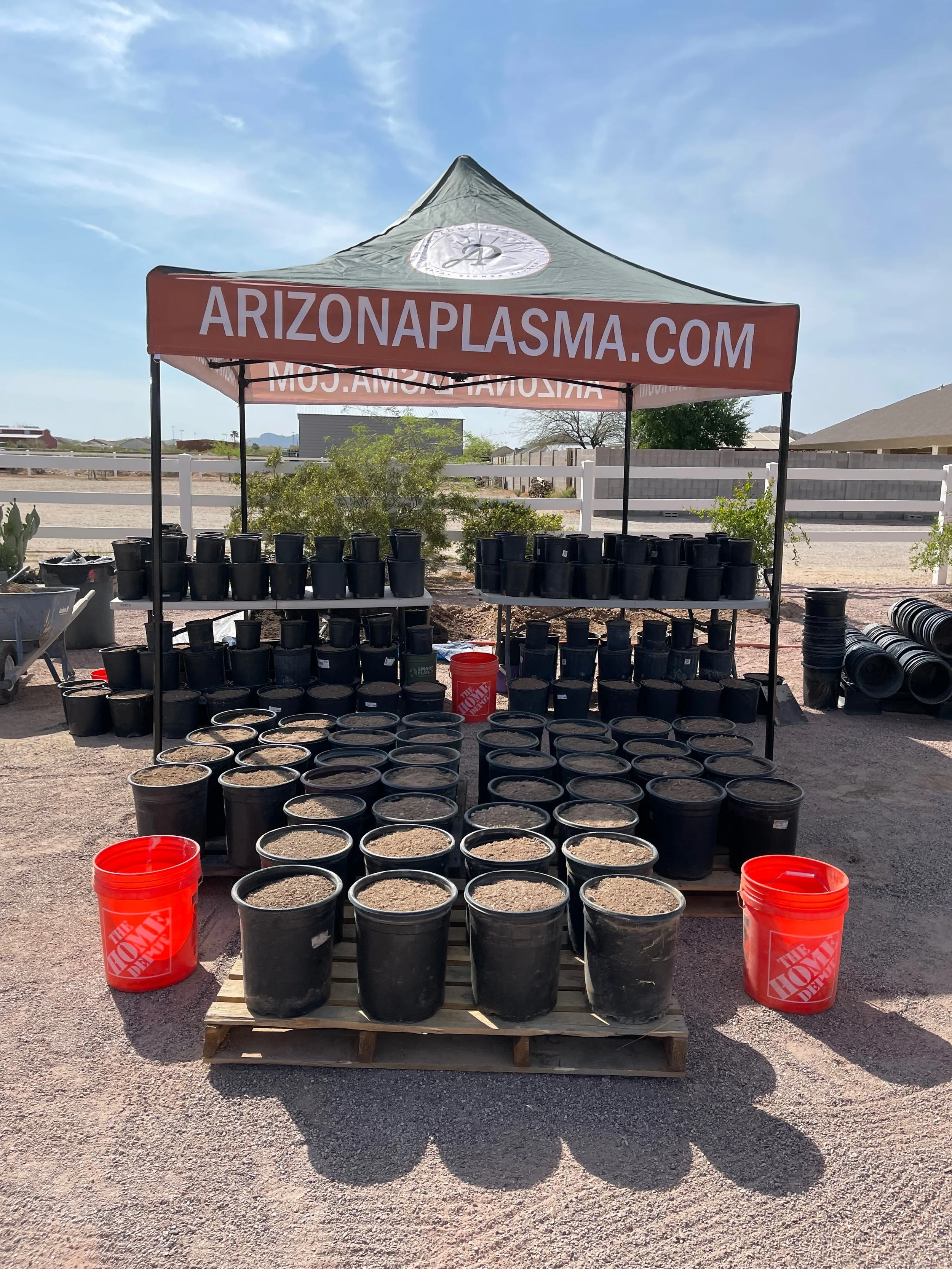 A tent with a sign reading 'ARIZONAPLASMA.COM' displays multiple black plant pots filled with dirt arranged on tables and pallets in an outdoor setting, with a clear blue sky, some greenery, and a white fence in the background.
