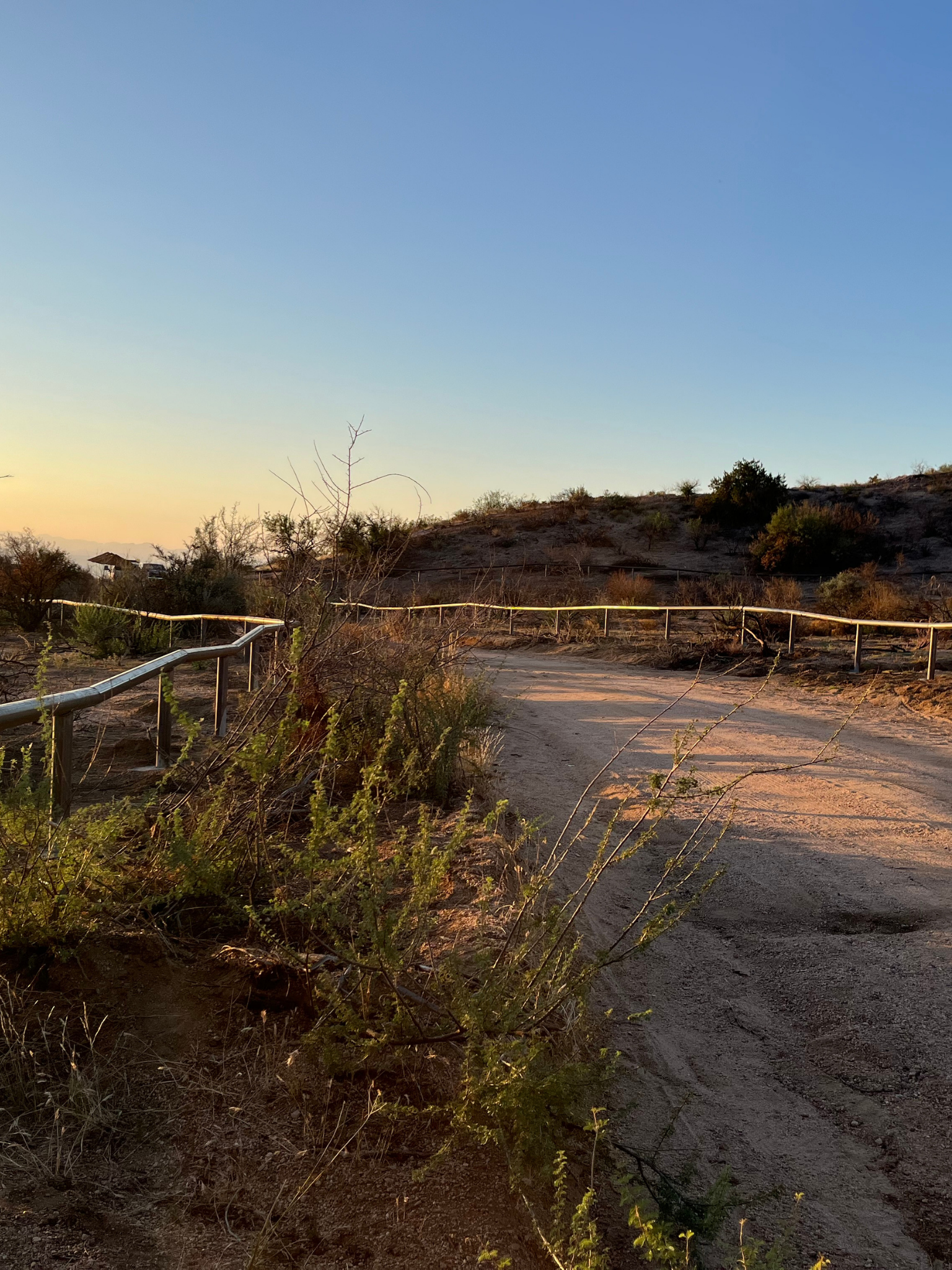 Untitled design (11).png