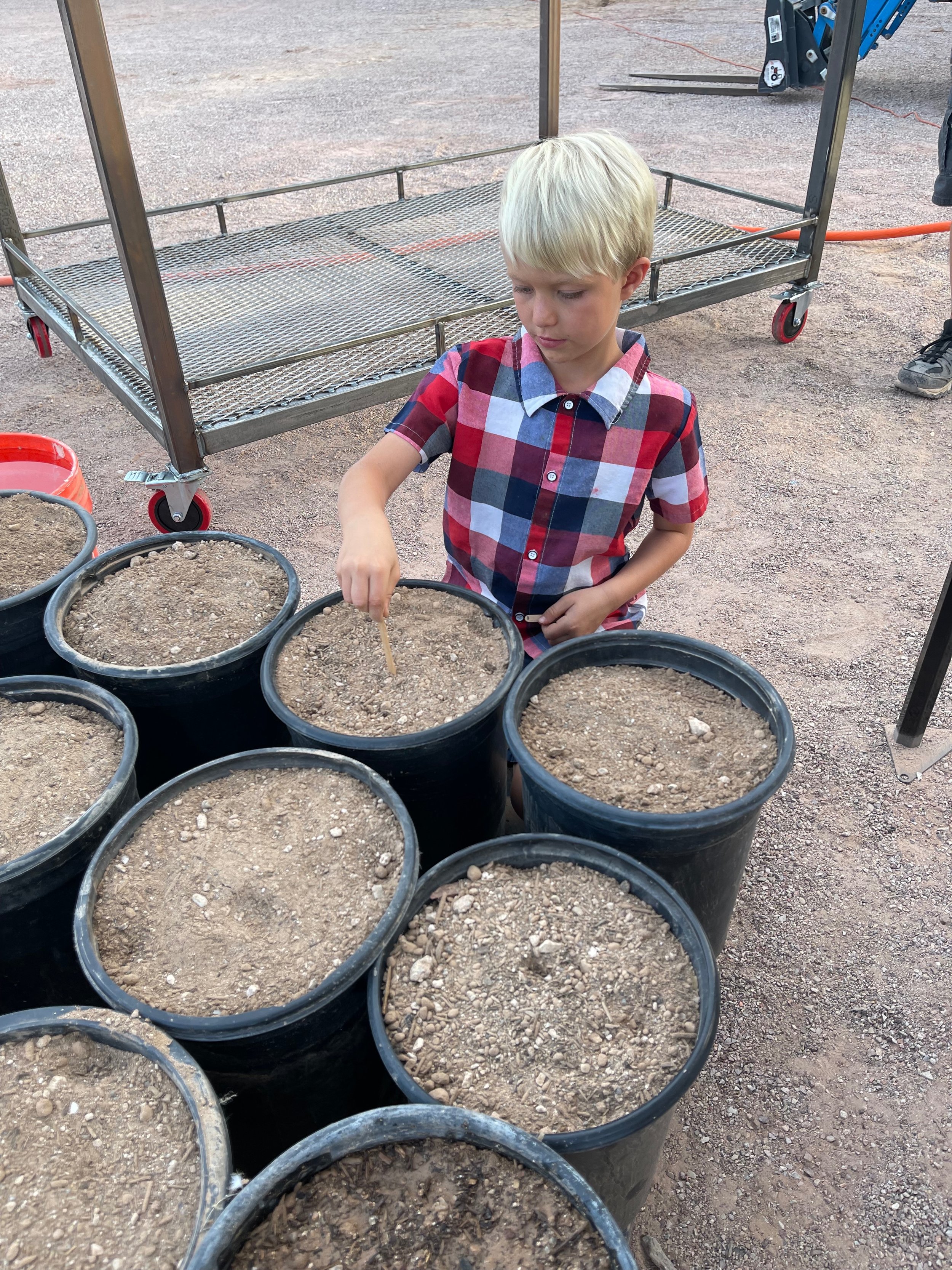 A young boy with blonde hair wearing a red, blue, and white plaid shirt is standing outdoors, using a toothpick or small stick, among black containers filled with soil or dirt.