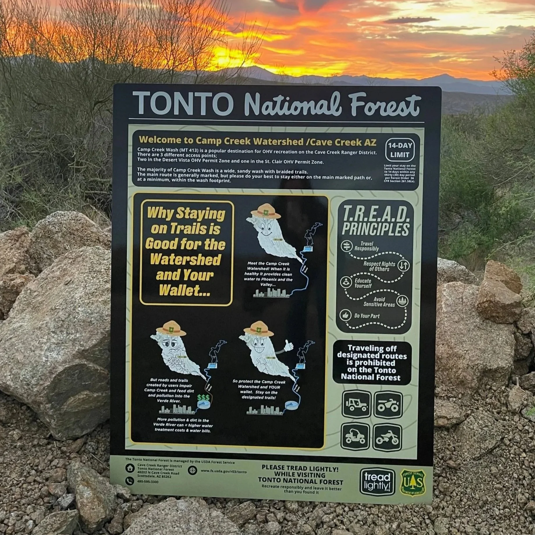 image2+%285%29.jpg (Copy) (Copy)