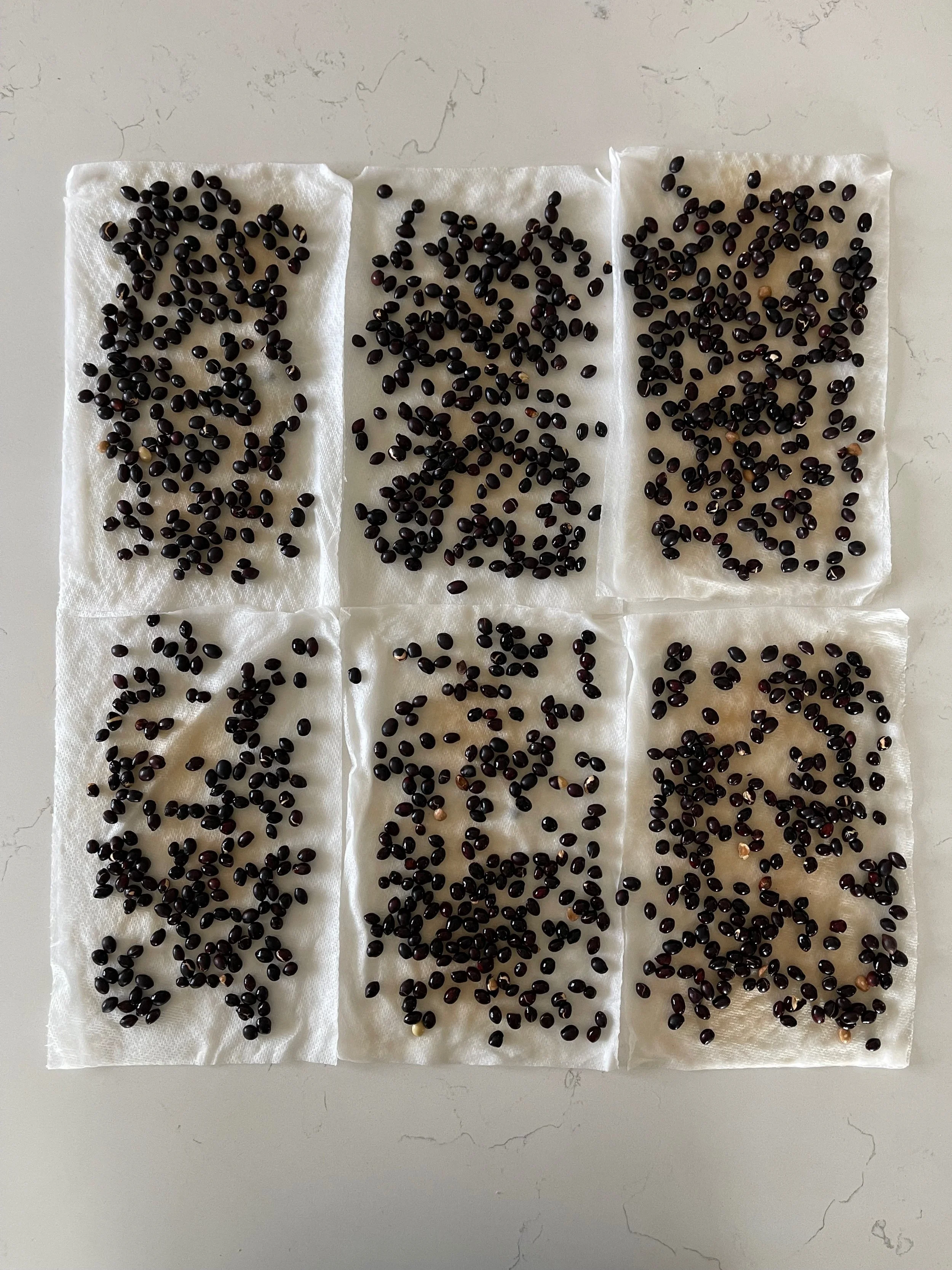 Six fabric sheets with black seeds laid out on a white marble surface.