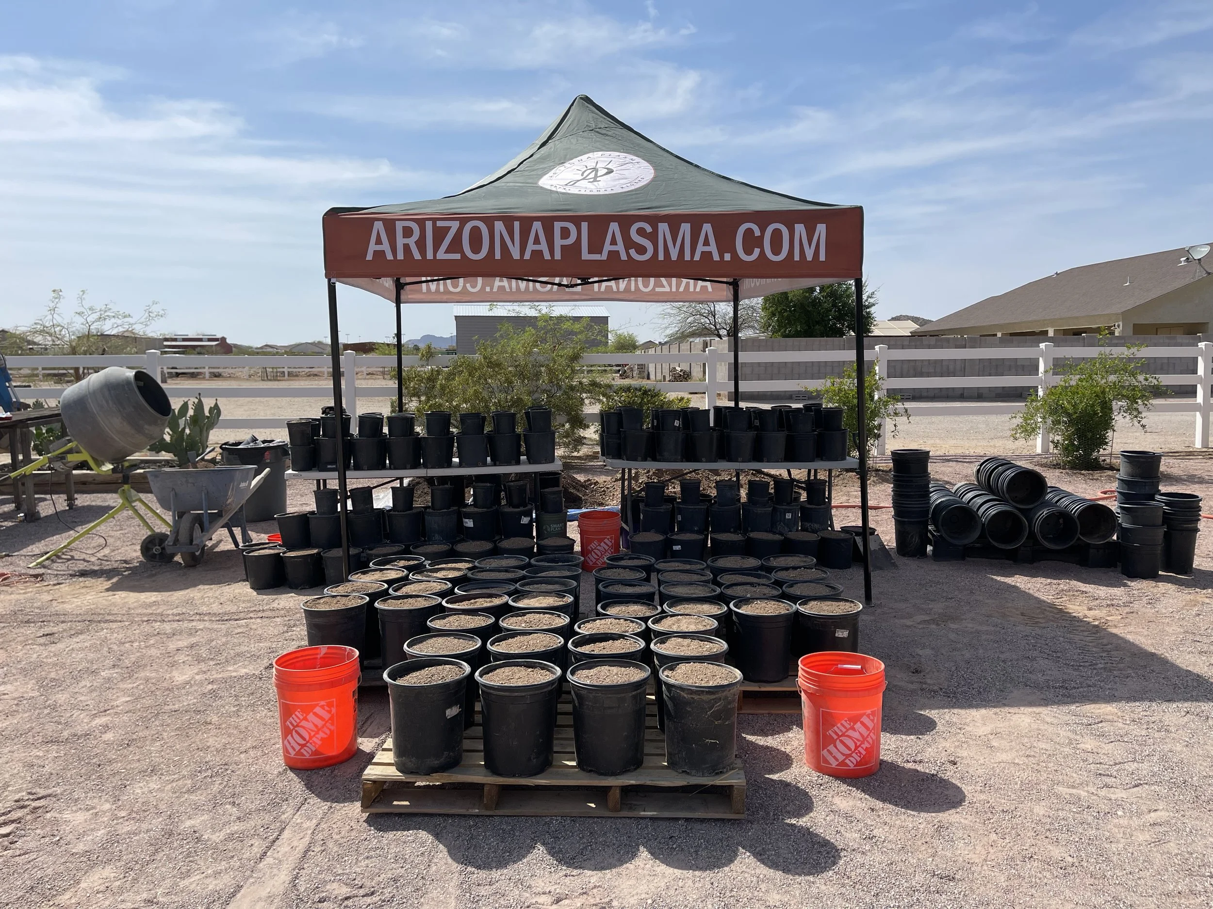 Outdoor setup with numerous black plant pots and two orange Home Depot buckets under a tent with 'ARIZONAPLASMA.COM' on it, likely for planting or gardening.