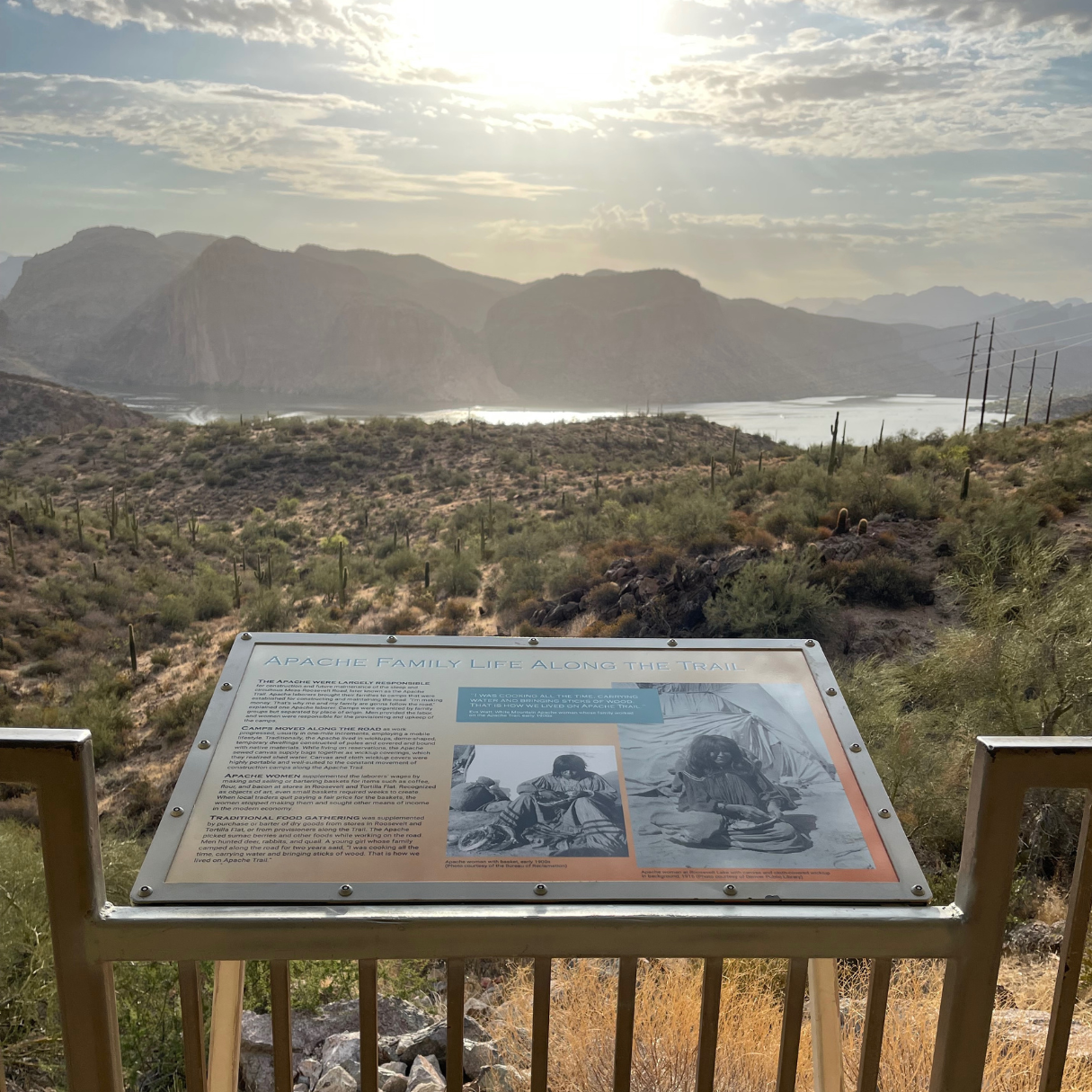 Standard 36"x46" Printed signs