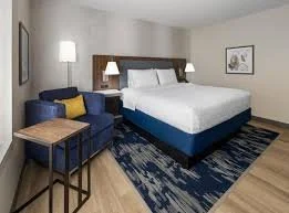 hamp 3.jpg