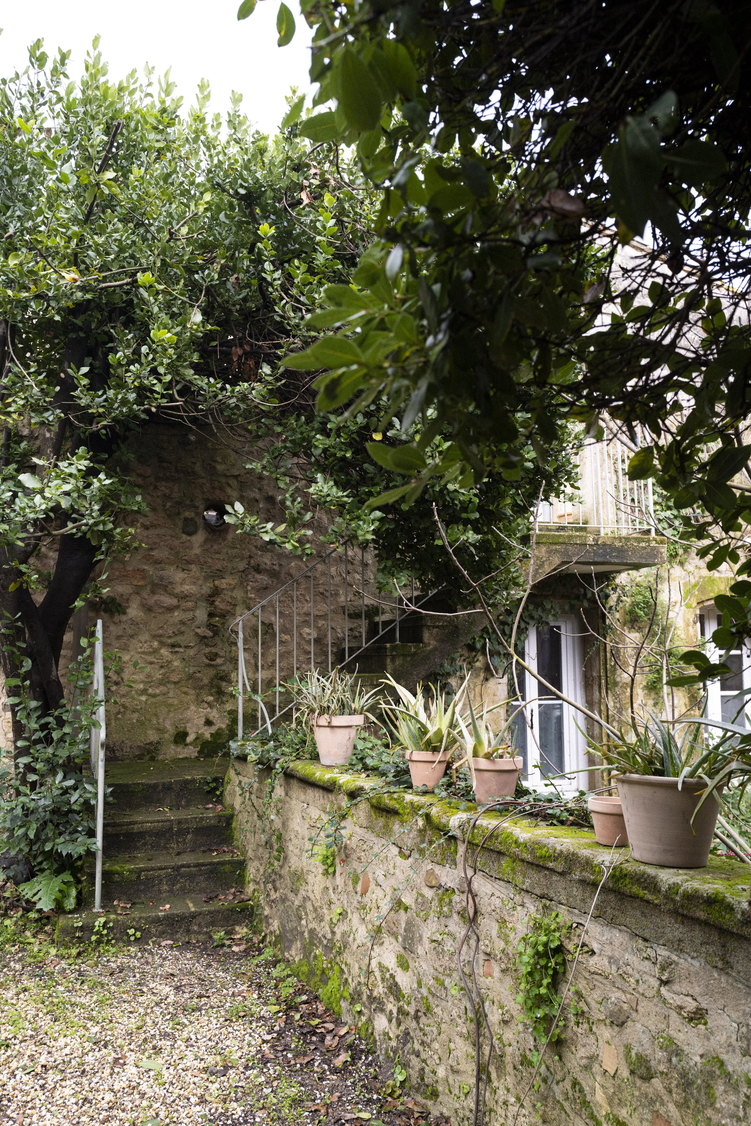 A garden scene with potted plants on a moss-covered stone ledge in front of a stone wall, with ivy and leafy trees surrounding the area, steps leading up on the left, and a French door in the background.