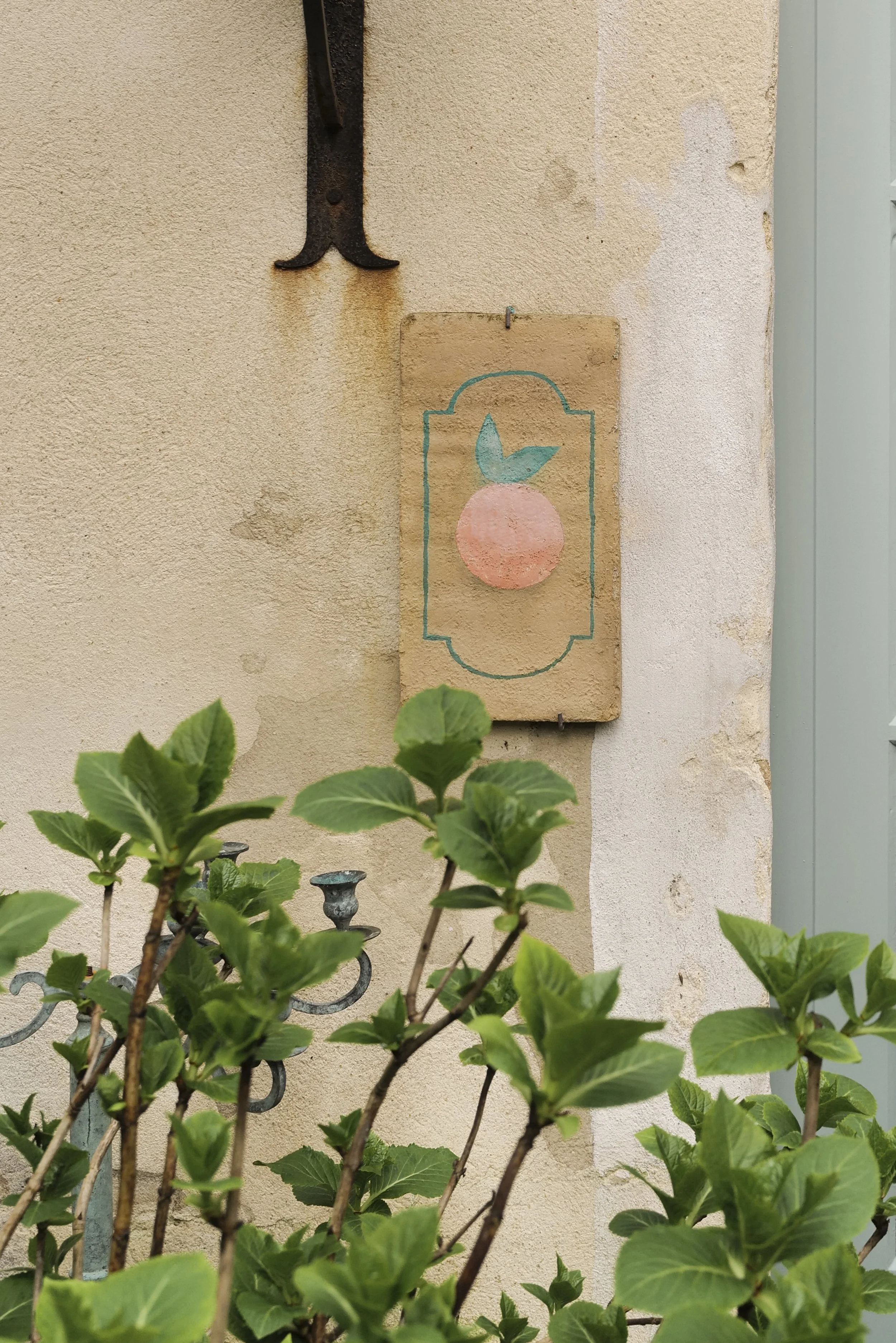 A beige wall with a painted design of a stylized peach with green leaves inside a decorative border. Green leafy plants in the foreground, partially obscuring the view.