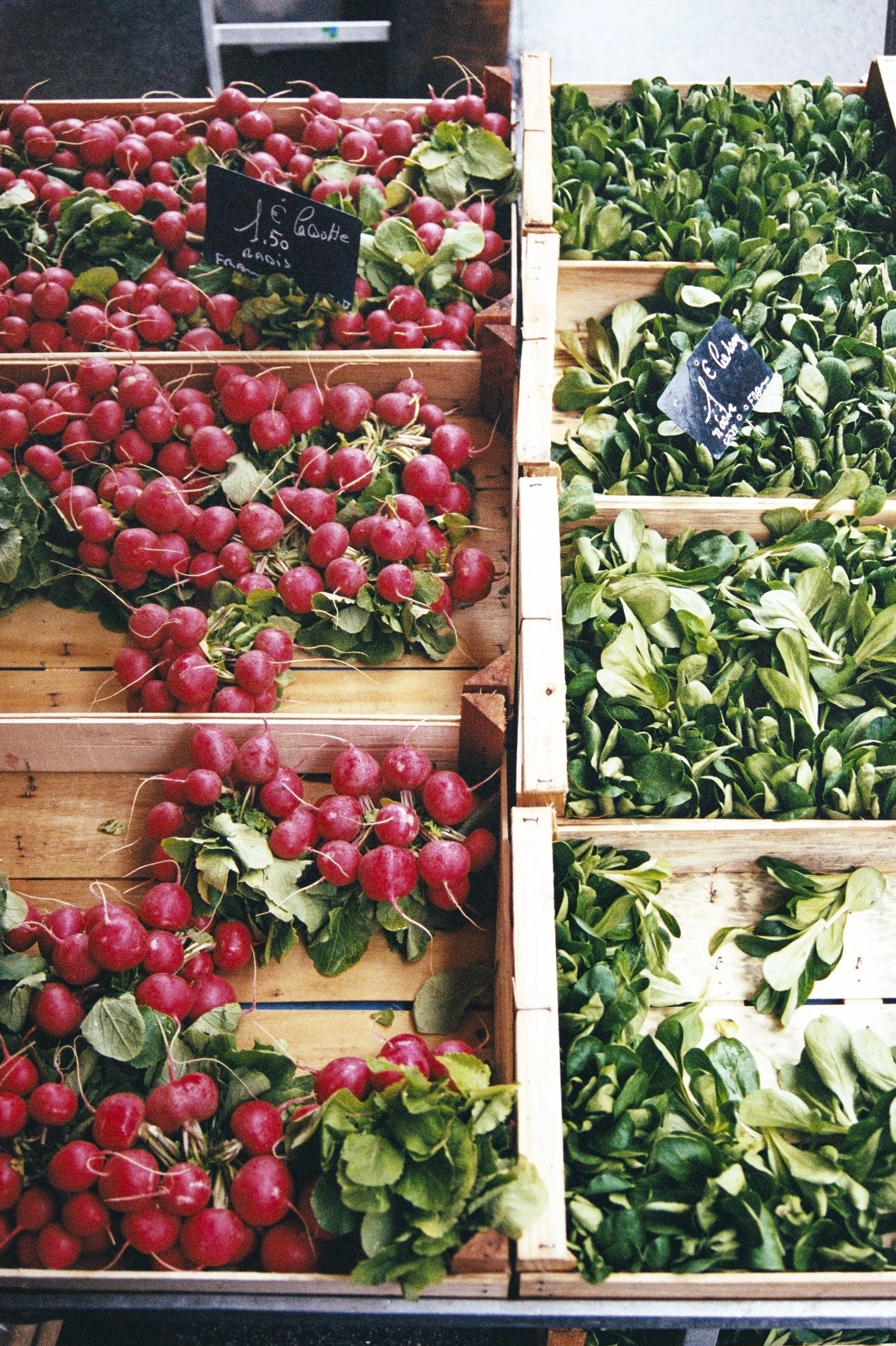 Red radishes and green leafy vegetables displayed in wooden crates at a market.