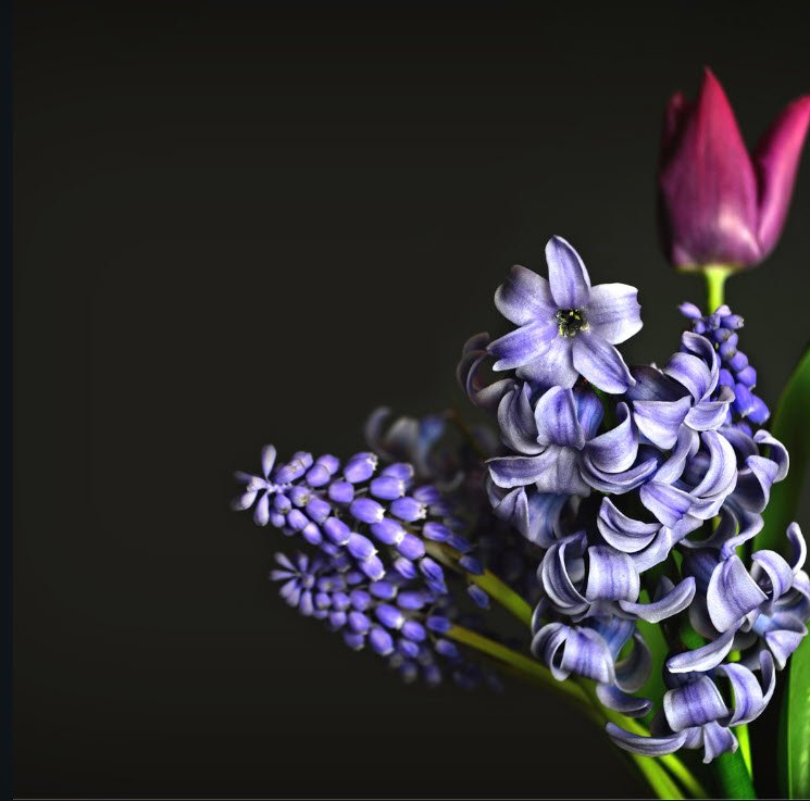 spring flowers workshop.jpg