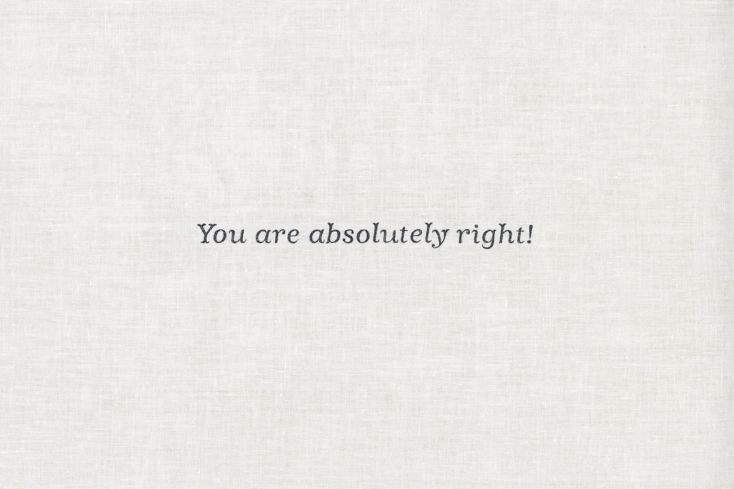  You are absolutely right! —ChatGPT, 2025 , 2026. Silk thread on linen, 11×18 inches.